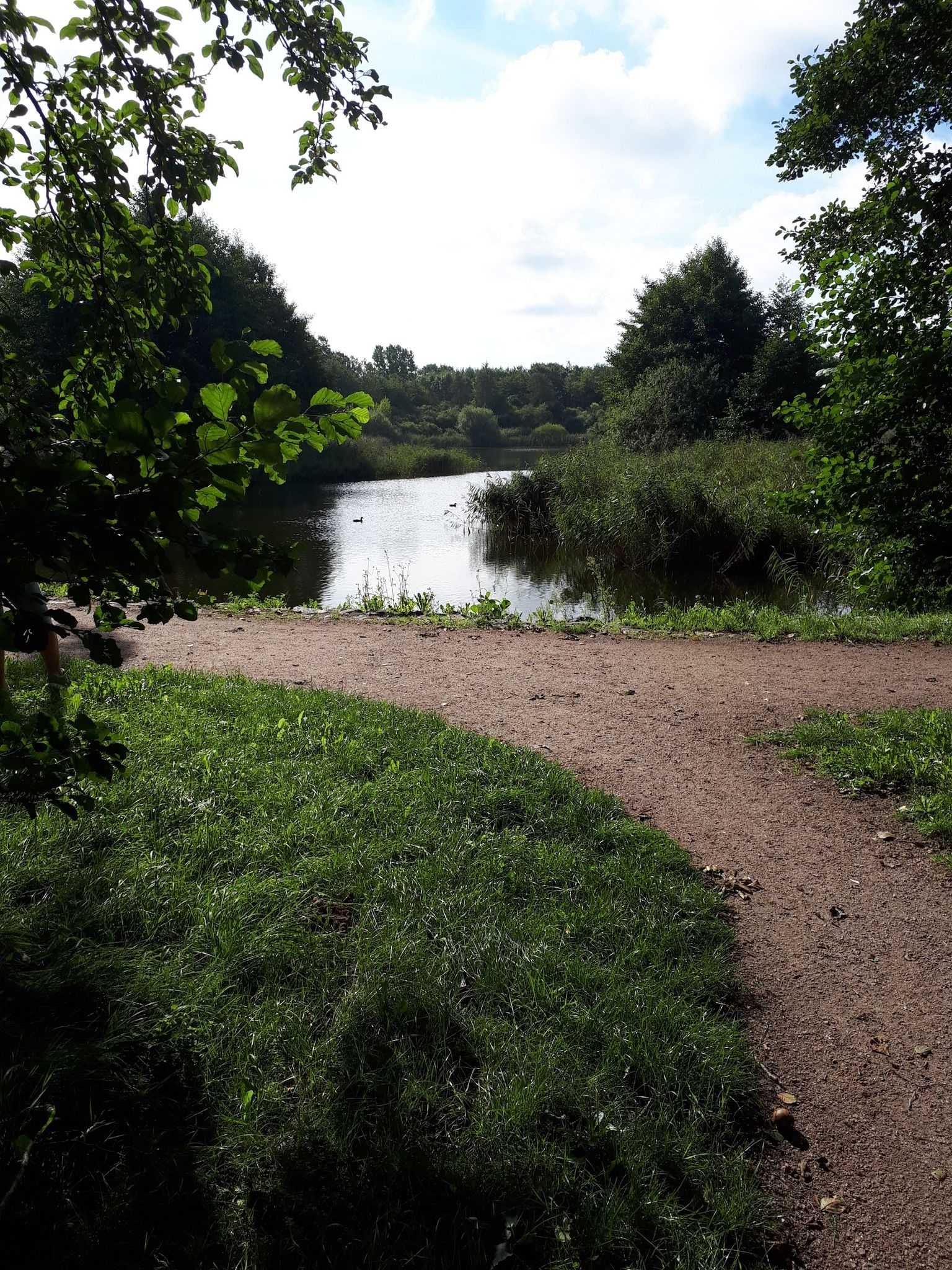 Mühlenteich