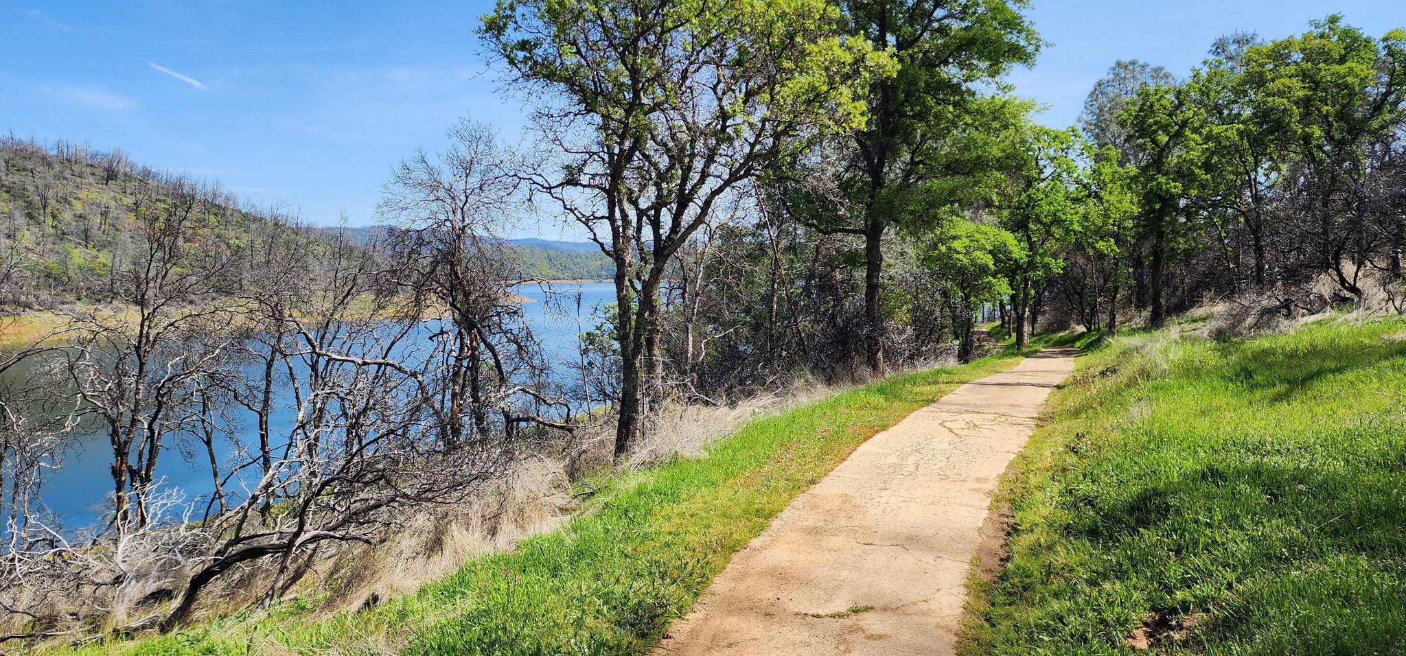 A sunny dirt path winds alongside a blue lake with green and bare trees. - Potters Ravine Trail
