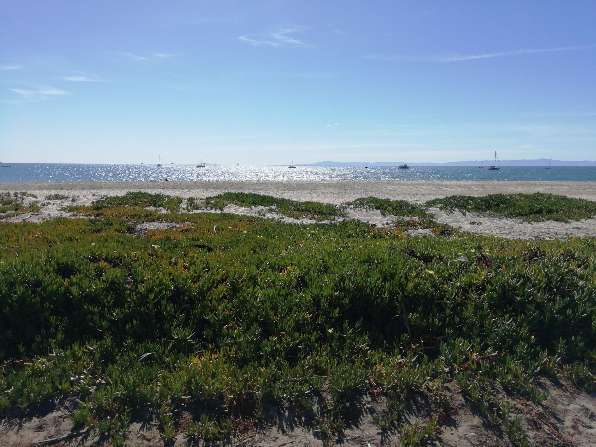Green coastal vegetation in foreground, ocean with boats under bright sun. - Santa Barbara Beach Trail