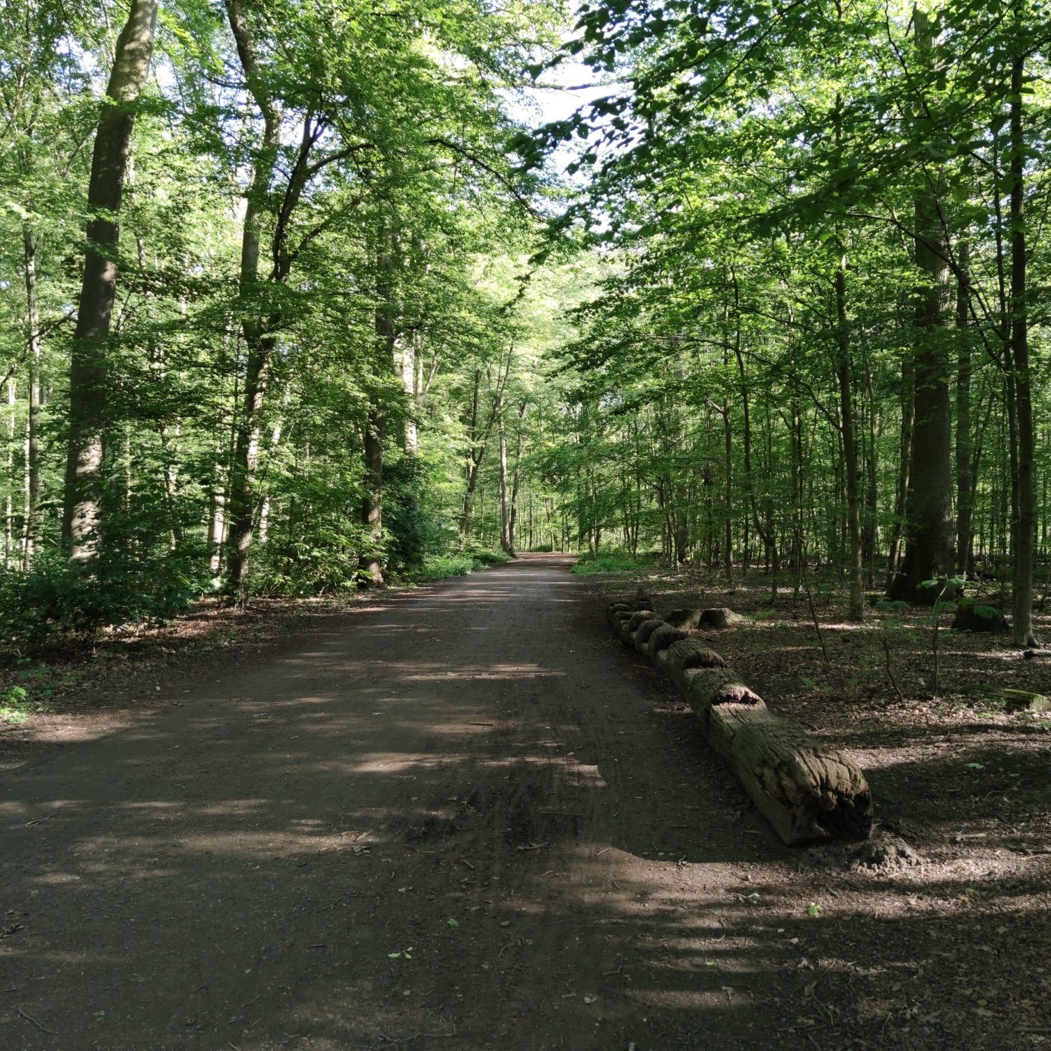Natur pur ☺