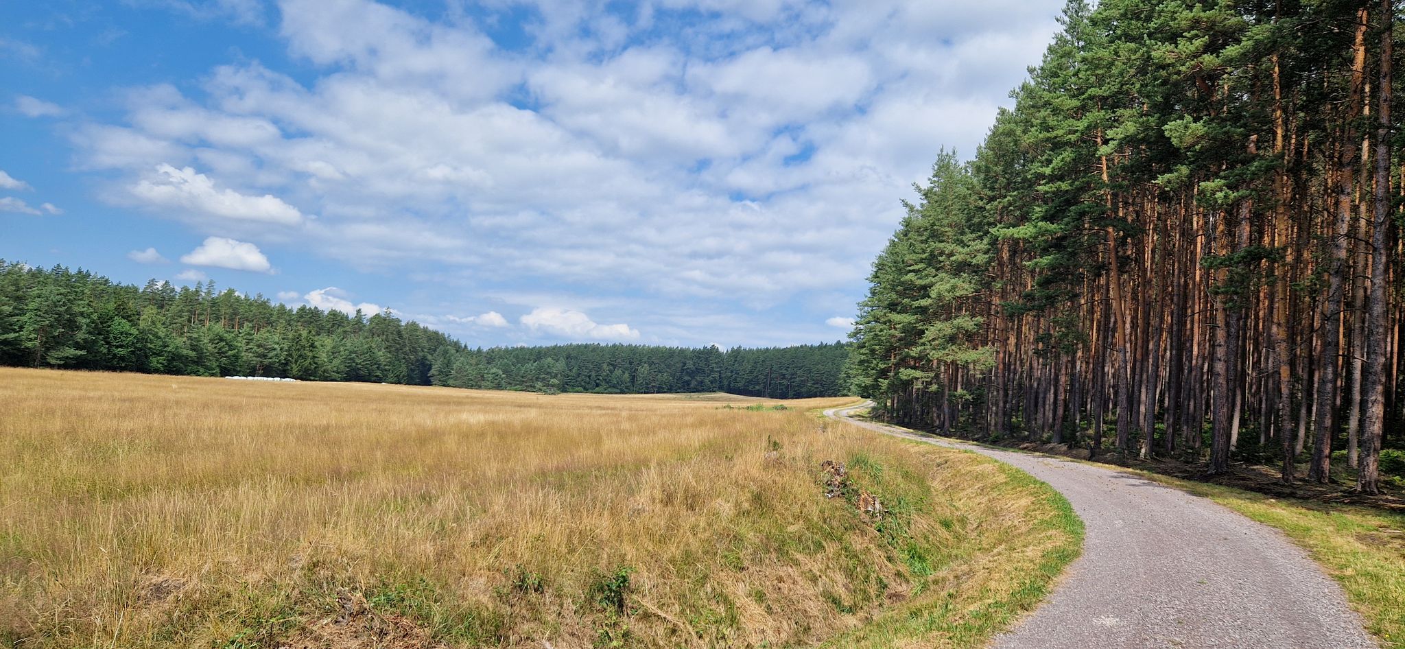 Blick in den Rückspiegel