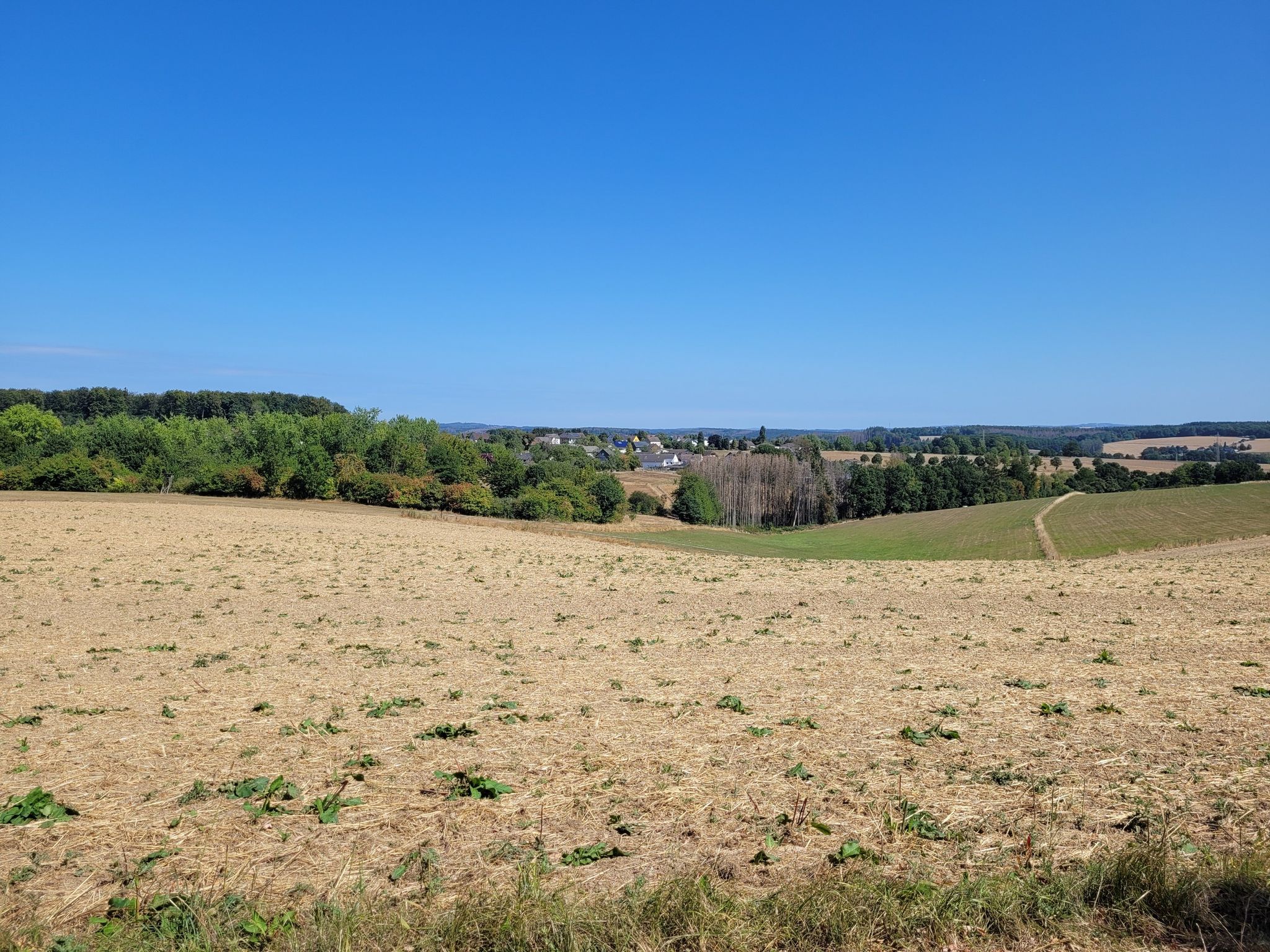 Blick nach Reiferscheid