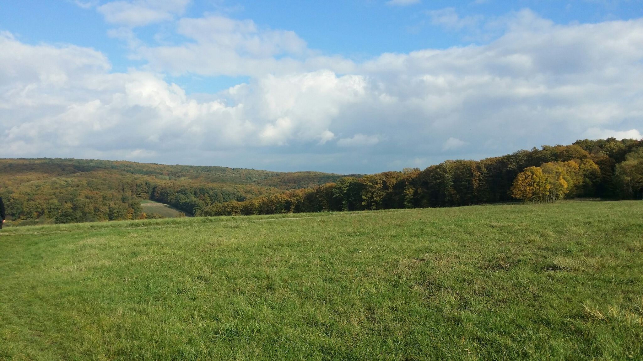 Stadtwanderweg 6 