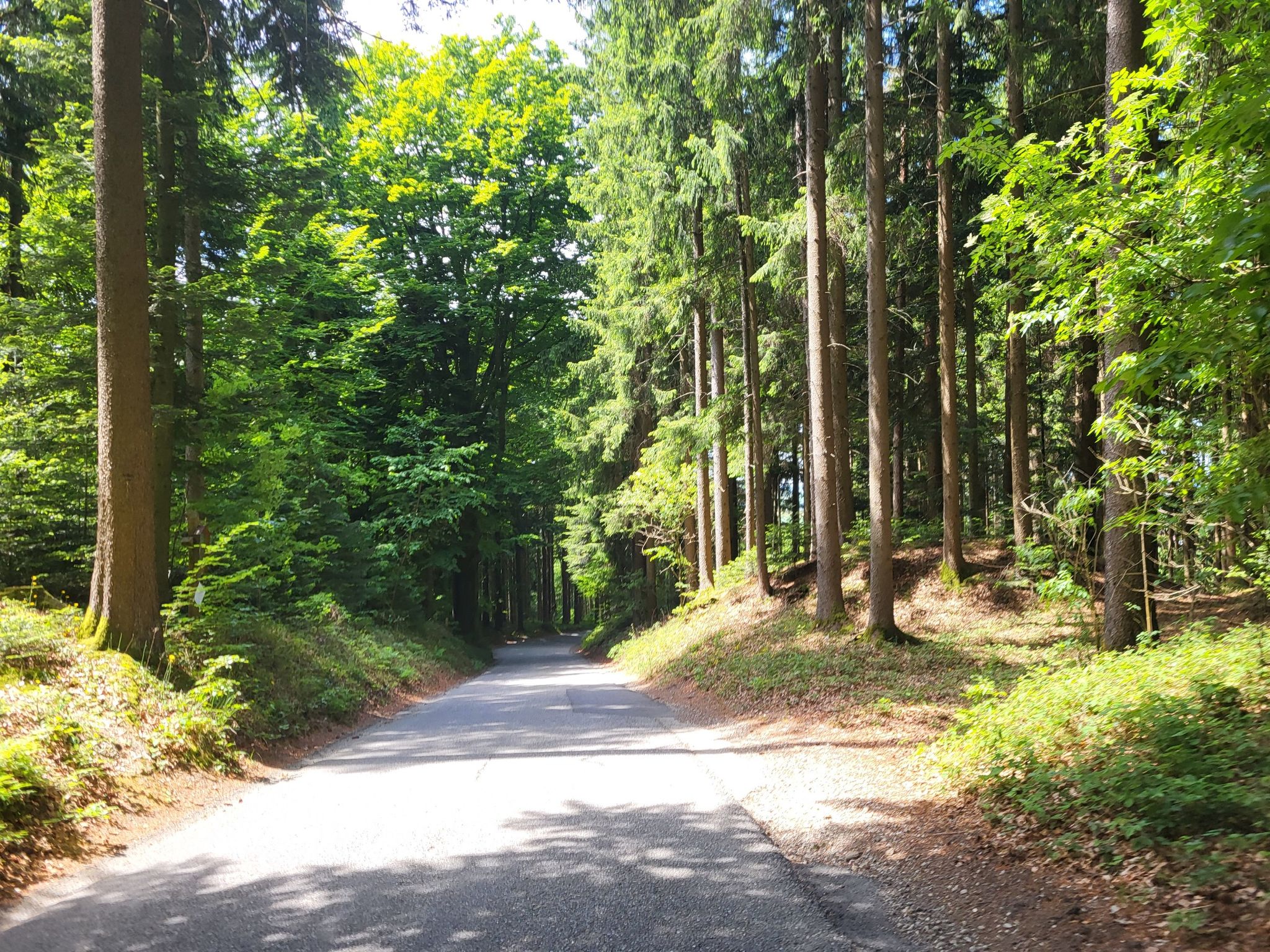 Wir verlassen den Kobernaußerwald.
