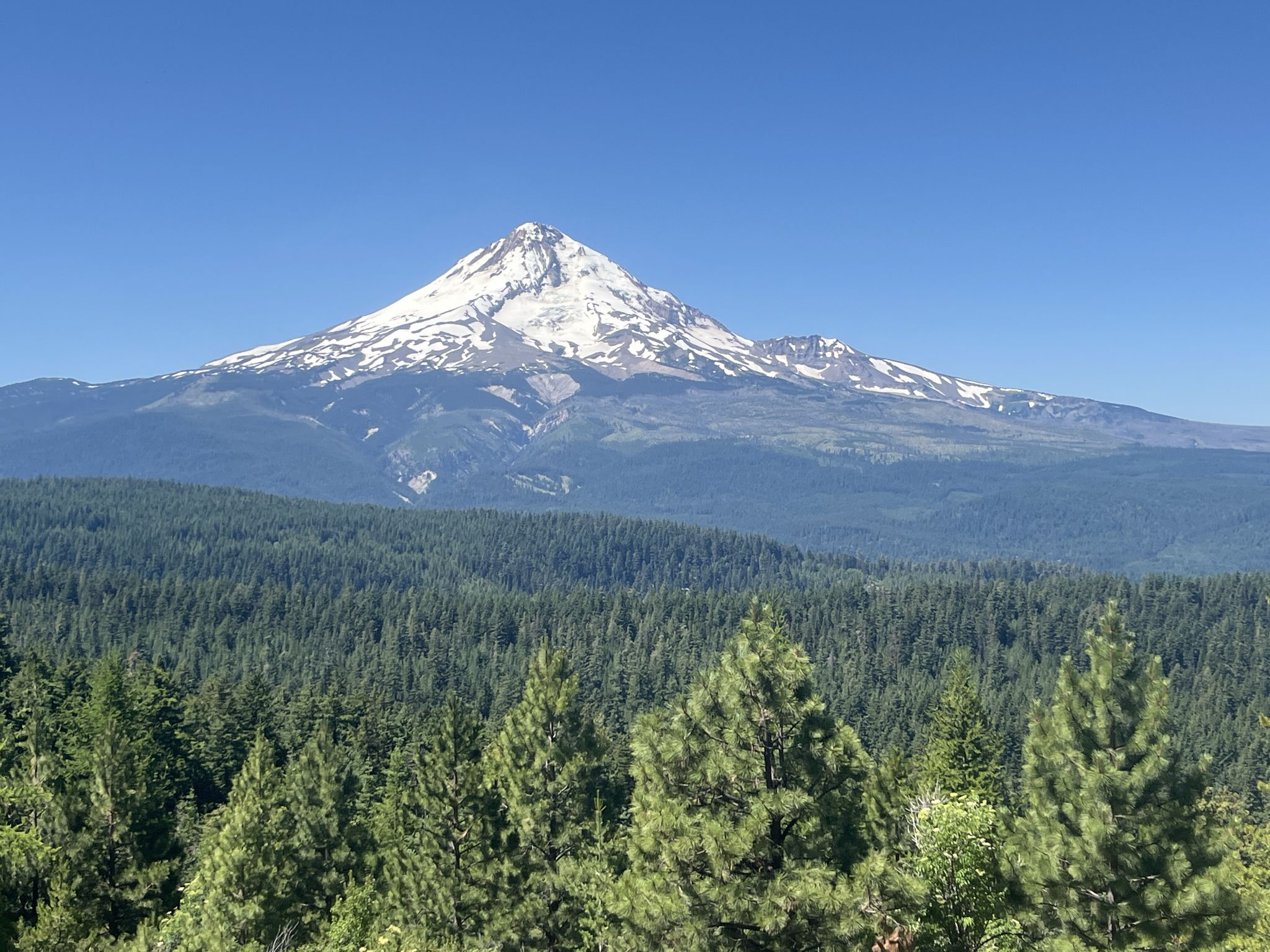 Majestic snow-capped mountain rising above a dense green forest. - Surveyor's Ridge Trail Loop