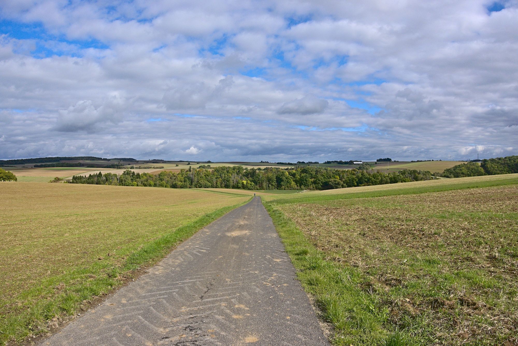 Hübsche Wegstrecke von Gadheim nach Rimpar