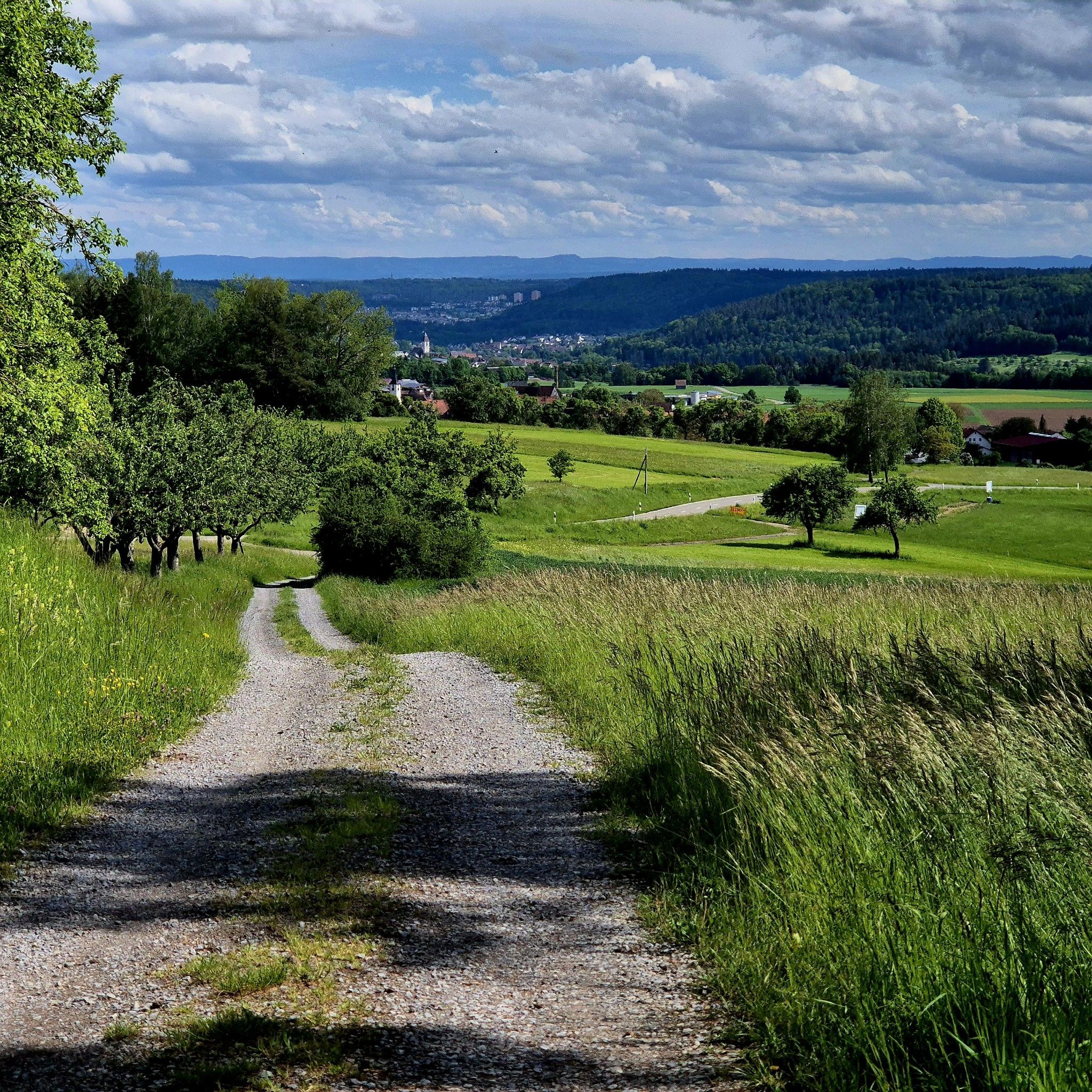 Blick von der Warter Höhe nach Nagold
