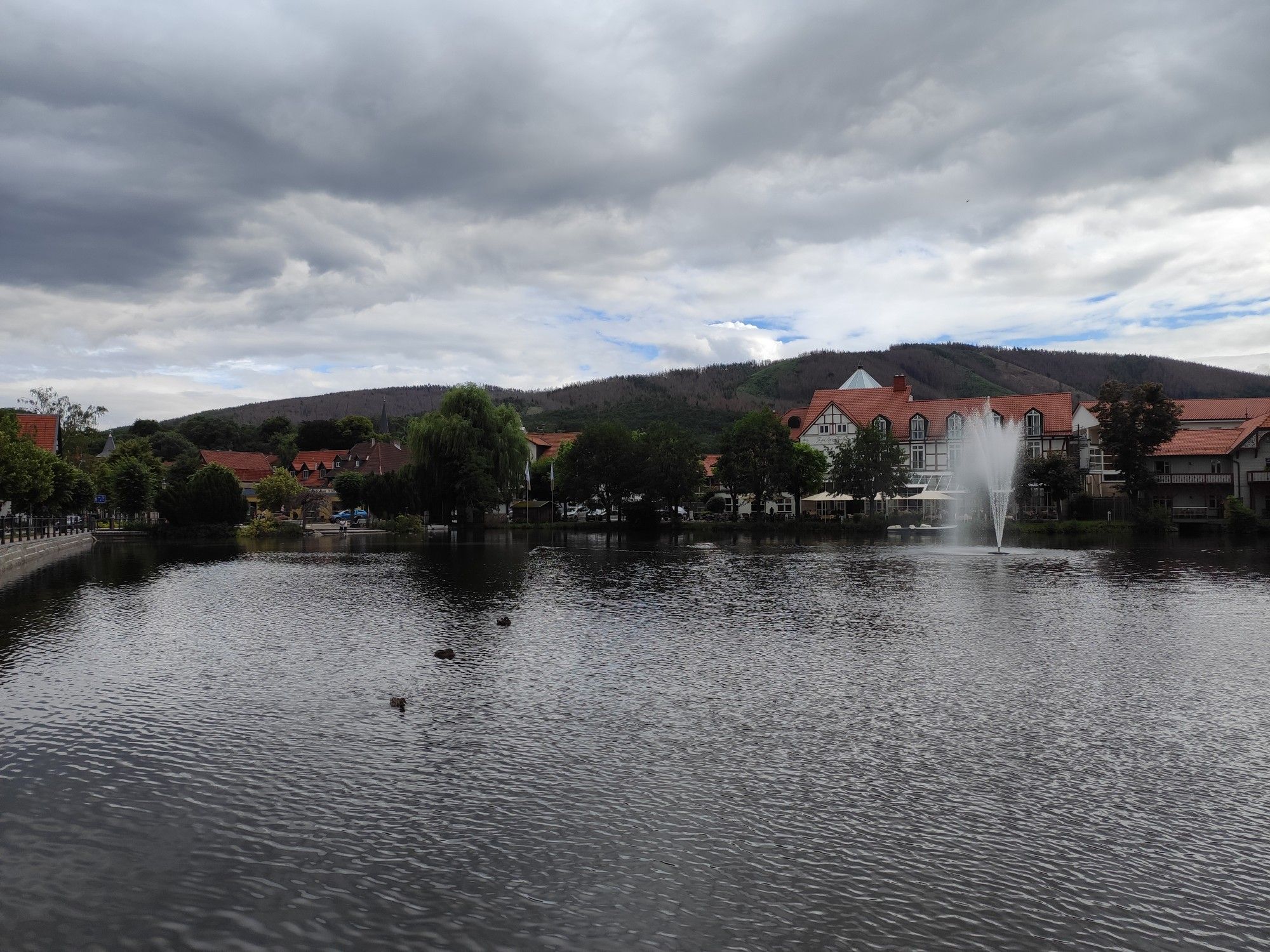 Ilsenburg, Forellenteich