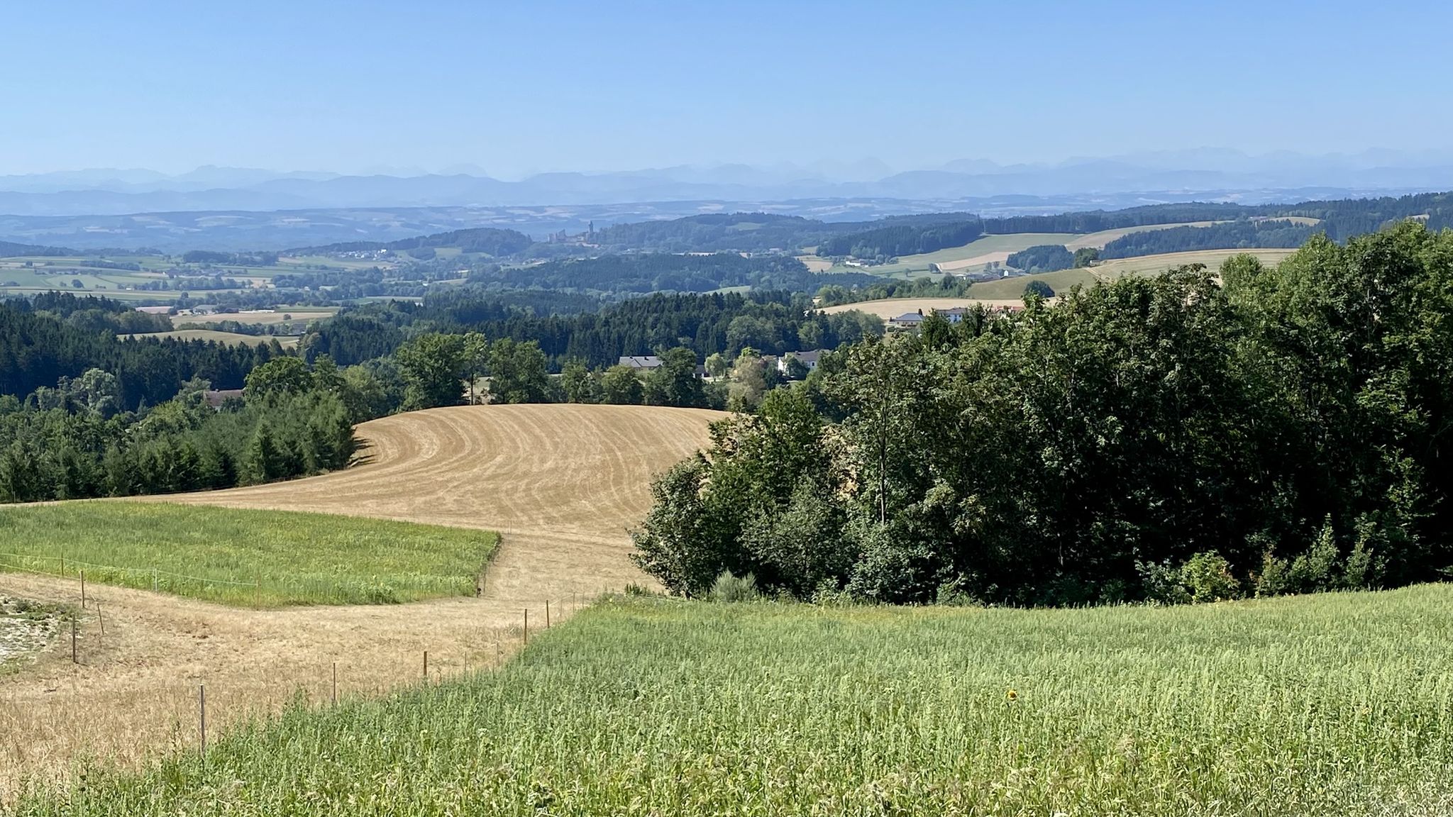 Burg Klam vor Machland & Alpen