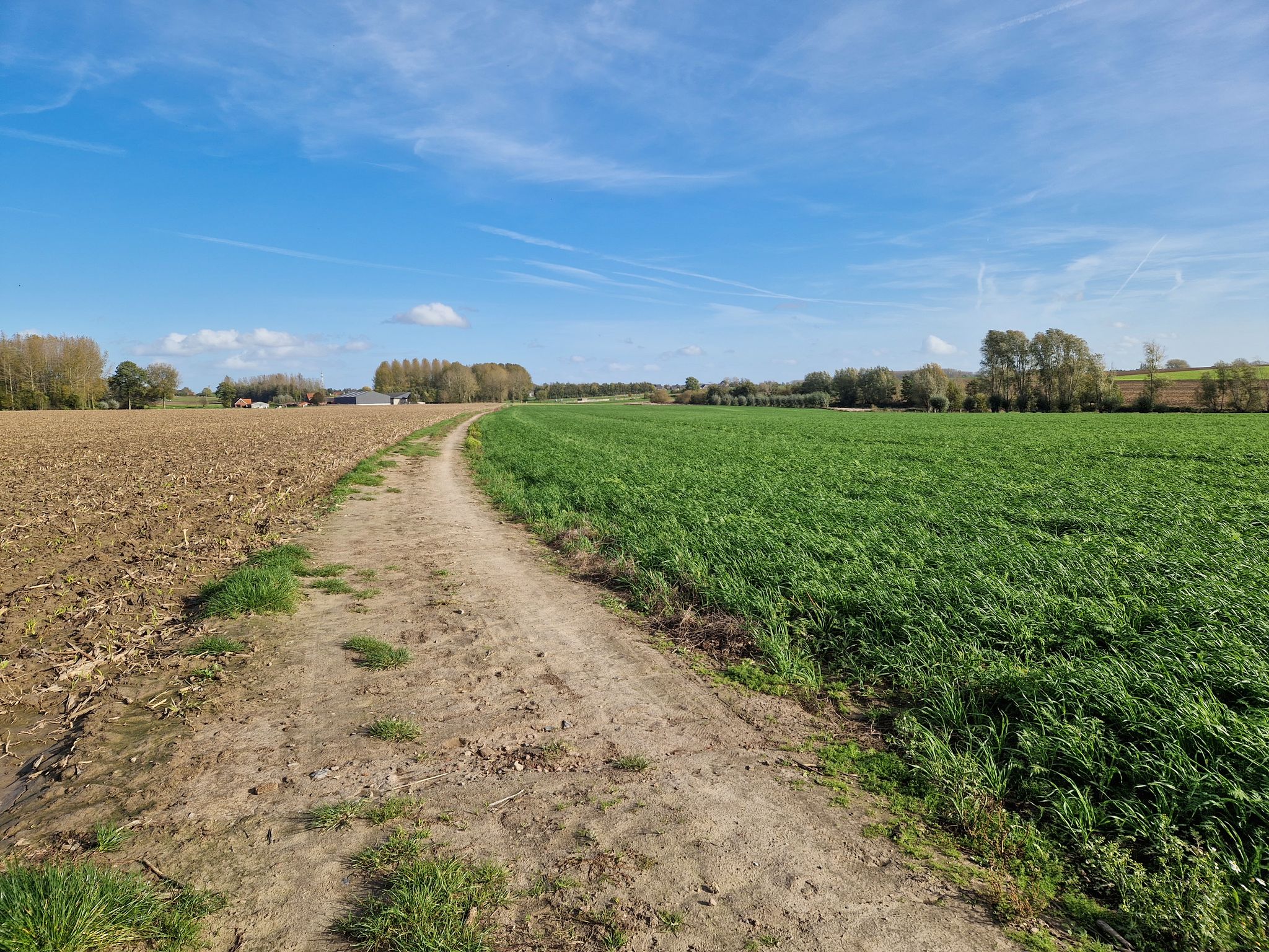 Veldweg: Ham