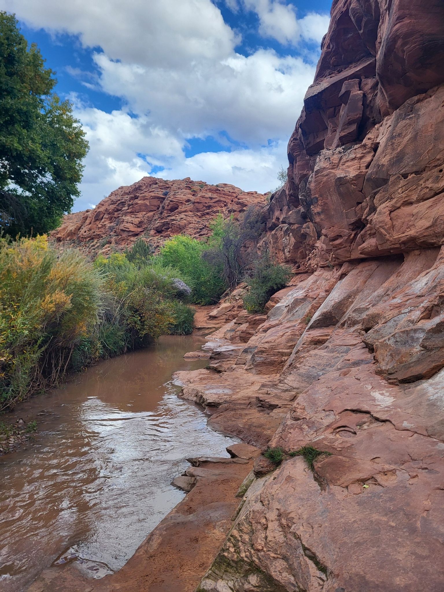 Stream flowing beside a towering red rock cliff under a bright sky. - Mill Creek Waterfall loop from Old City Park
