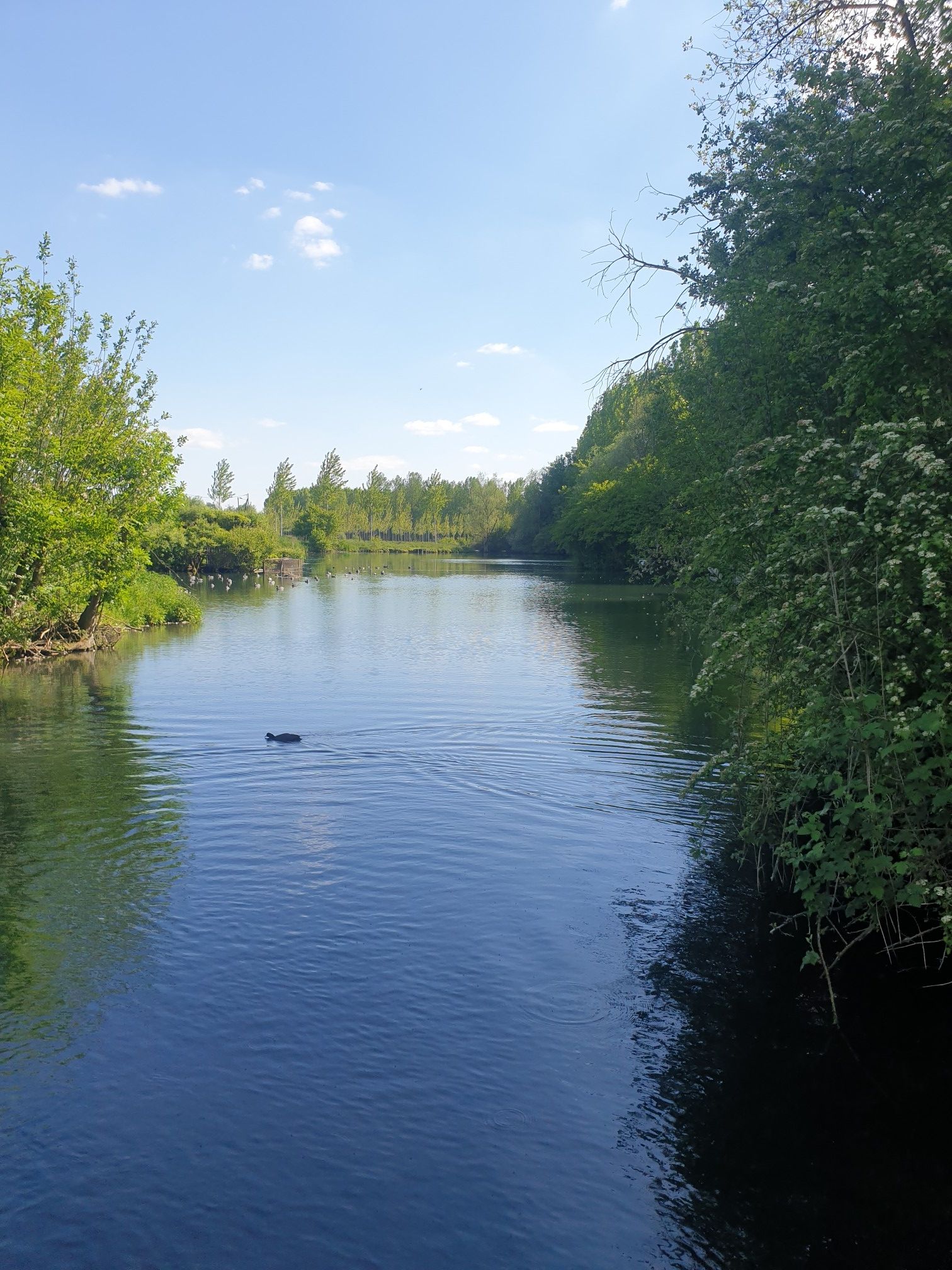 etang