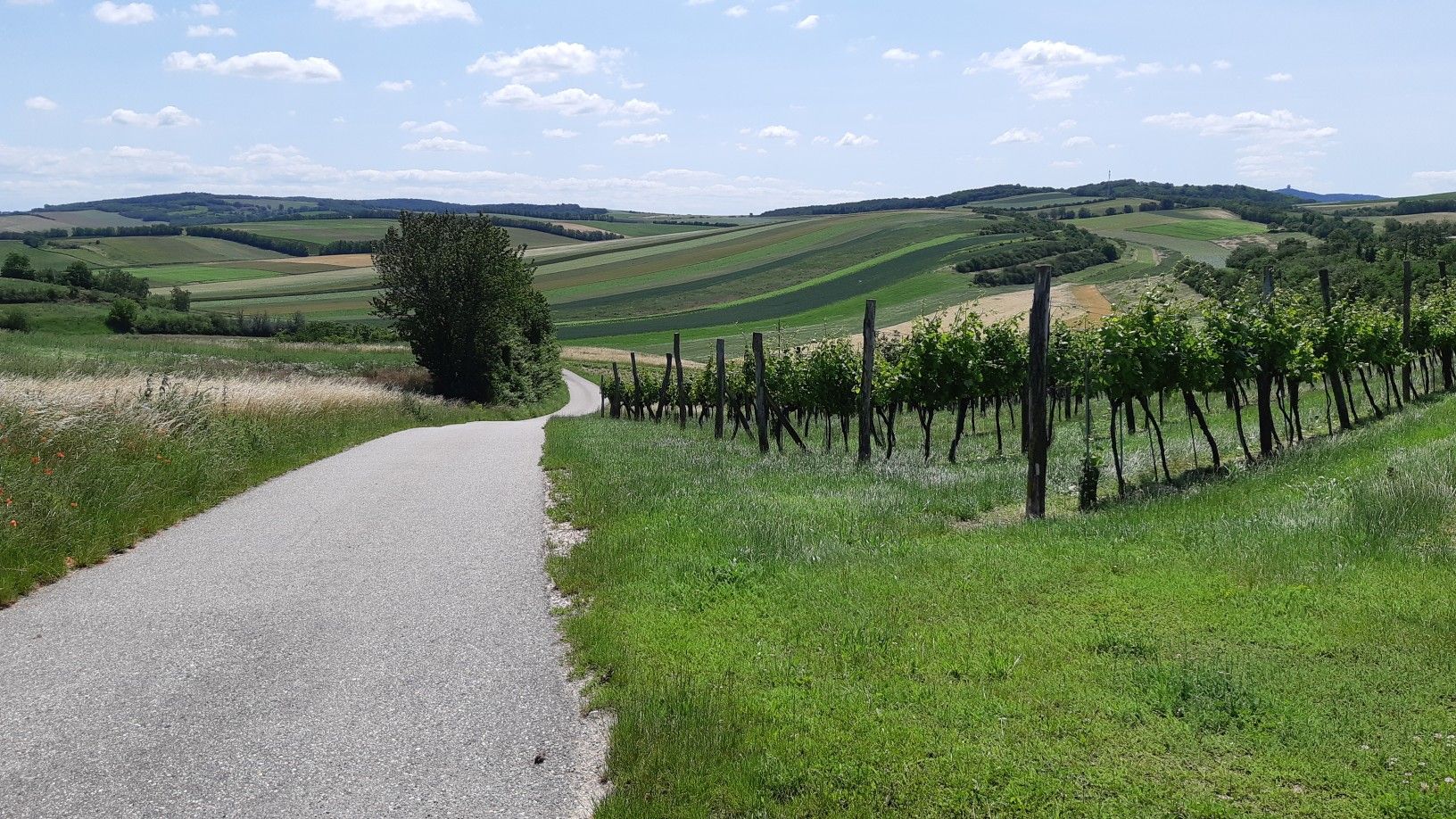 sehr schöner Radweg 819