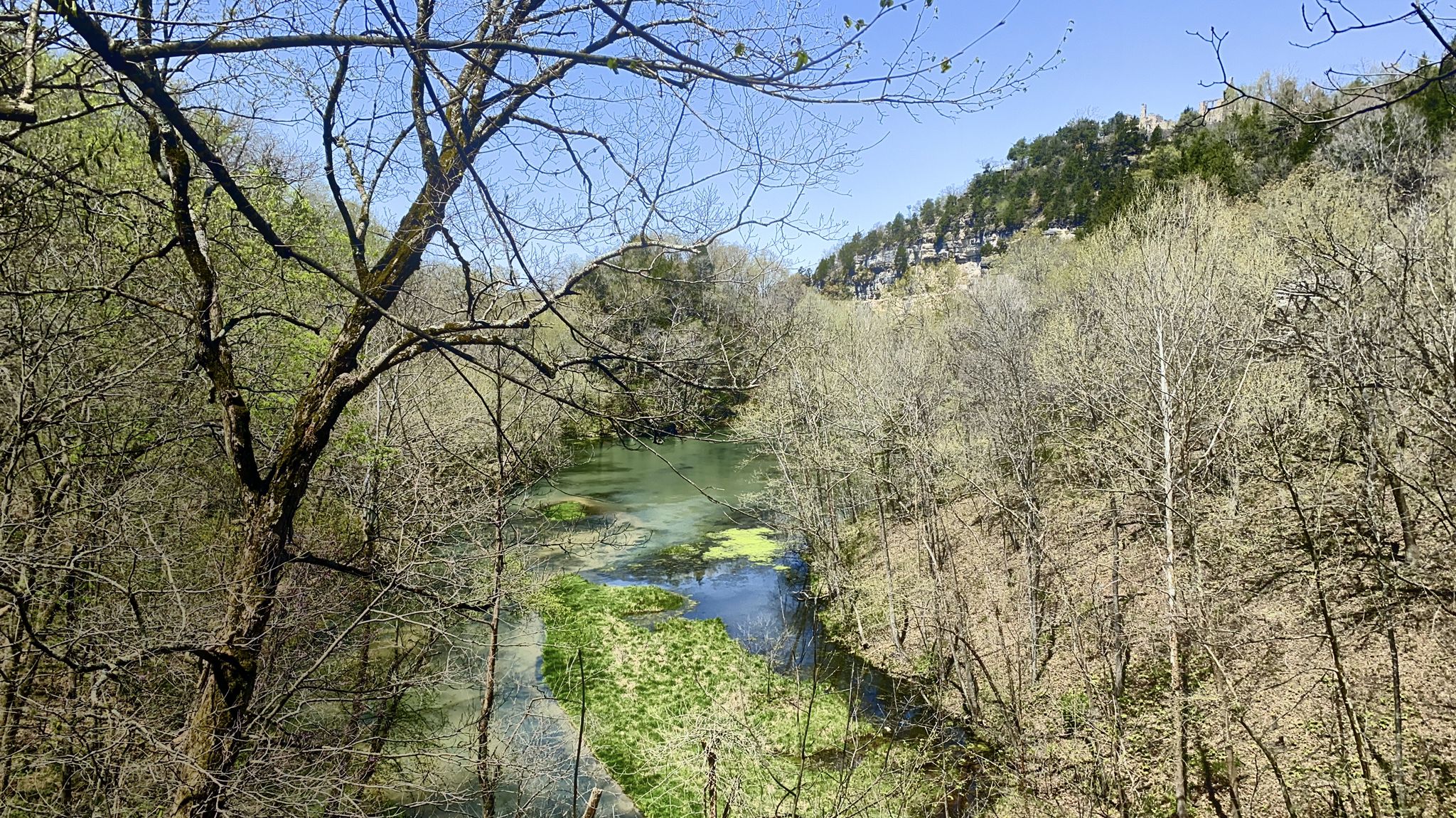 Winding river through a dense forest with green moss under bright daylight. - Spring Trail