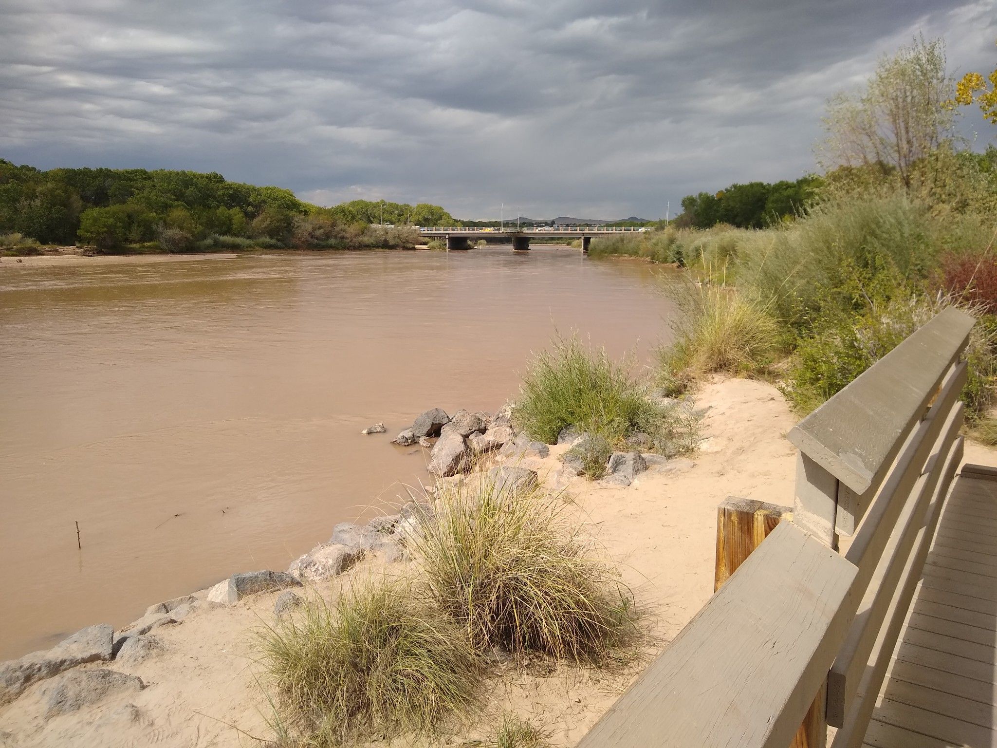 Muddy river with a distant bridge, sandy bank, and wooden railing. - View of the Rio Grande – Tricentennial Sculpture Park loop from Albuquerque