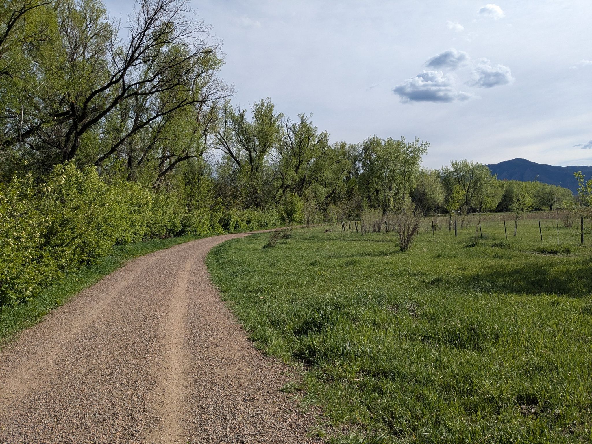 Gravel path curving left, green trees, grassy field, cloudy sky. - Longmont-to-Boulder (LOBO) Regional Trail