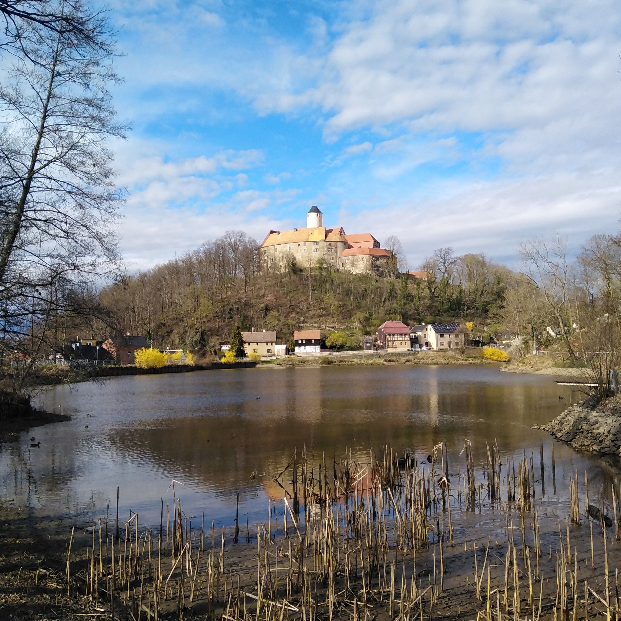 Blick auf die Burg Schönfels