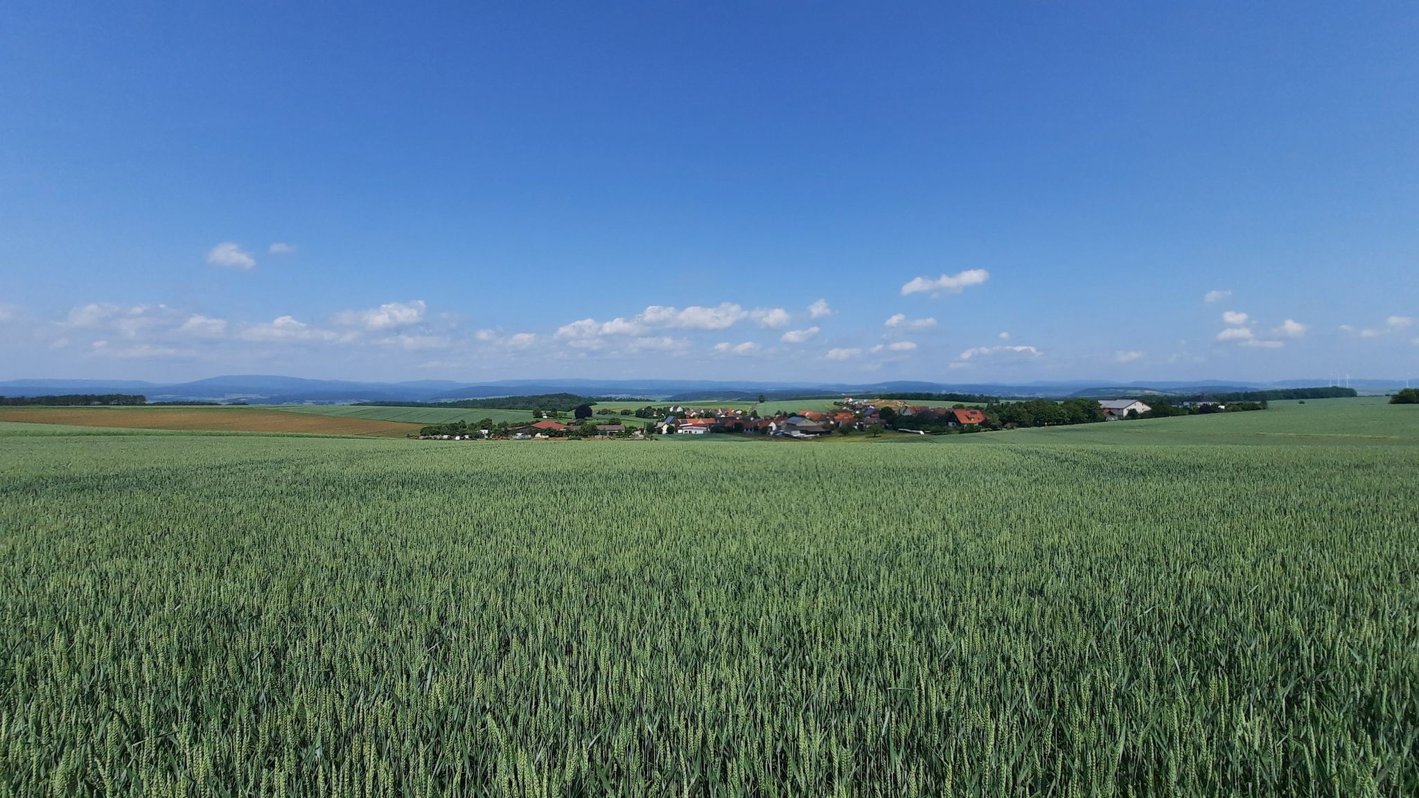 Blick über Dürrnhof zur Rhön