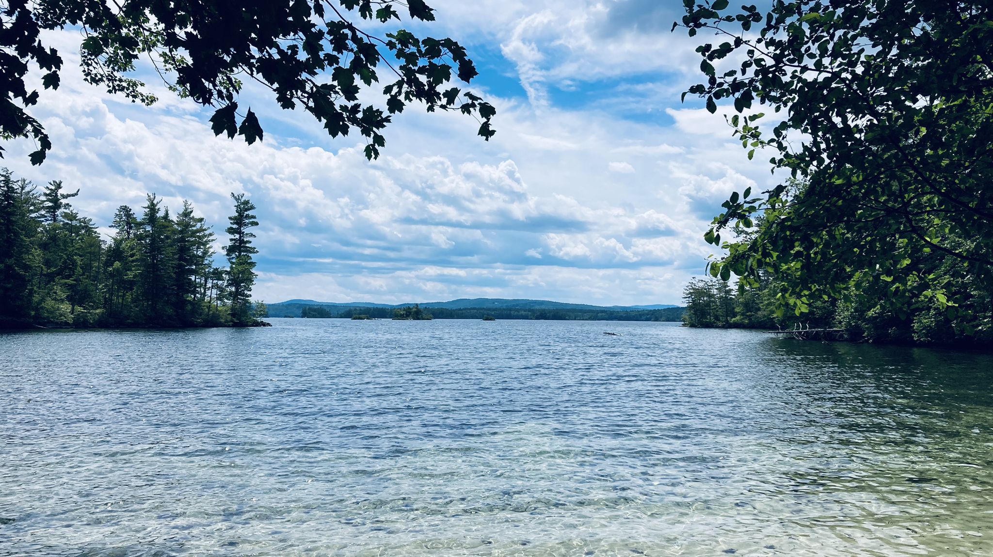 Wide lake view with forested shores under a partly cloudy sky. - Five Finger Point Trail