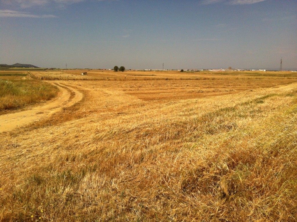 Salida de Olivenza