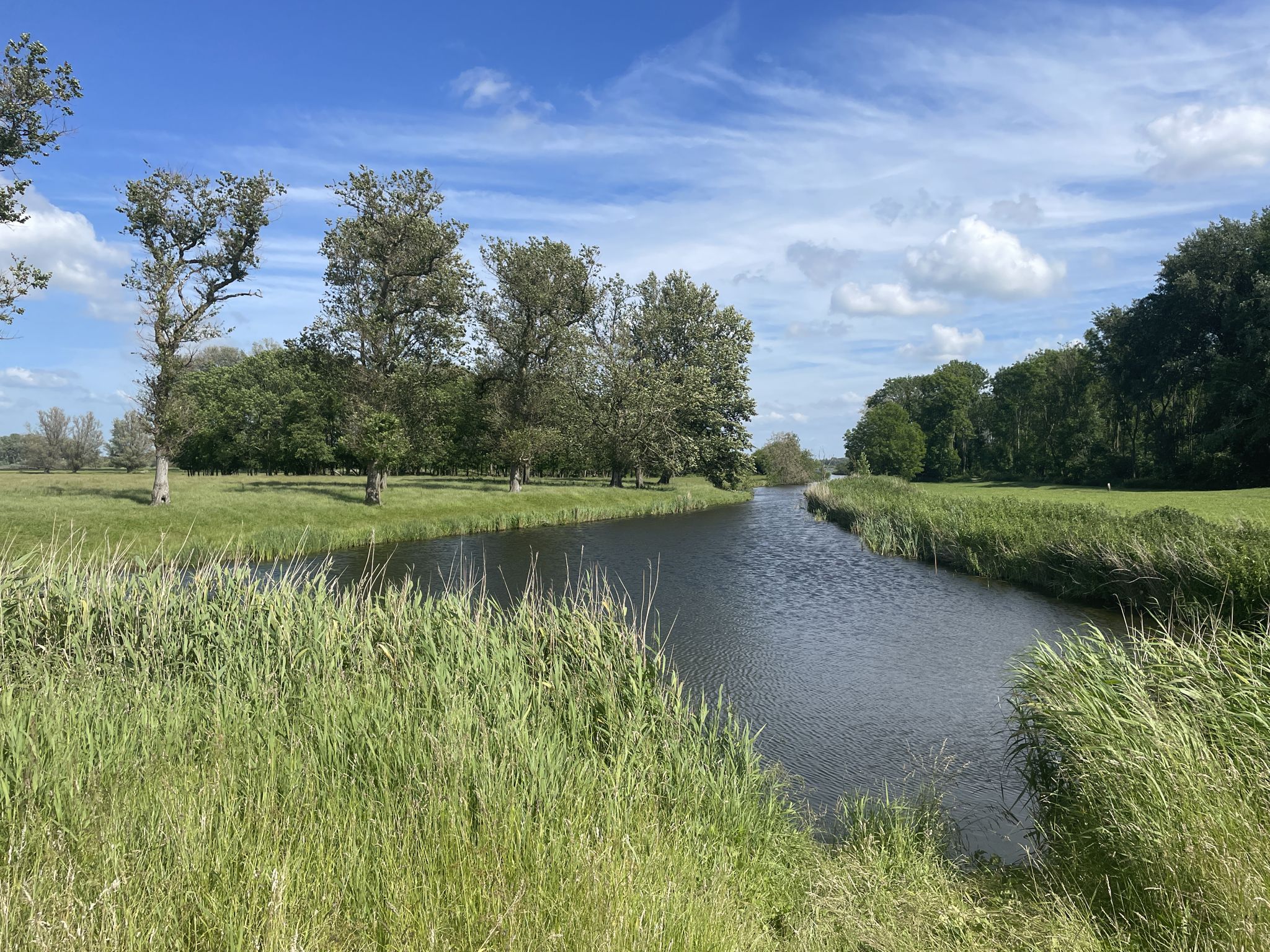 Het Twiske
