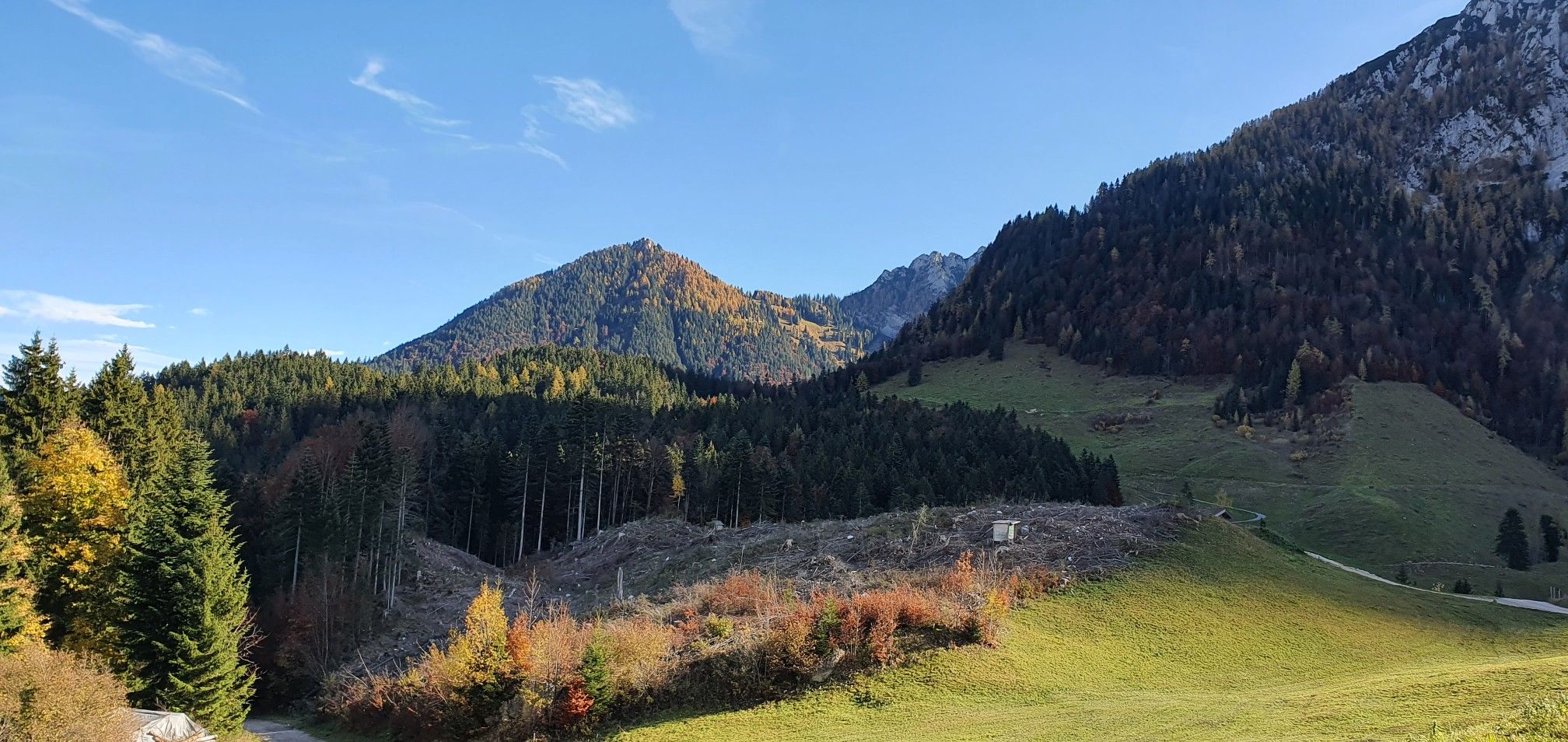 Heuberg 1603m