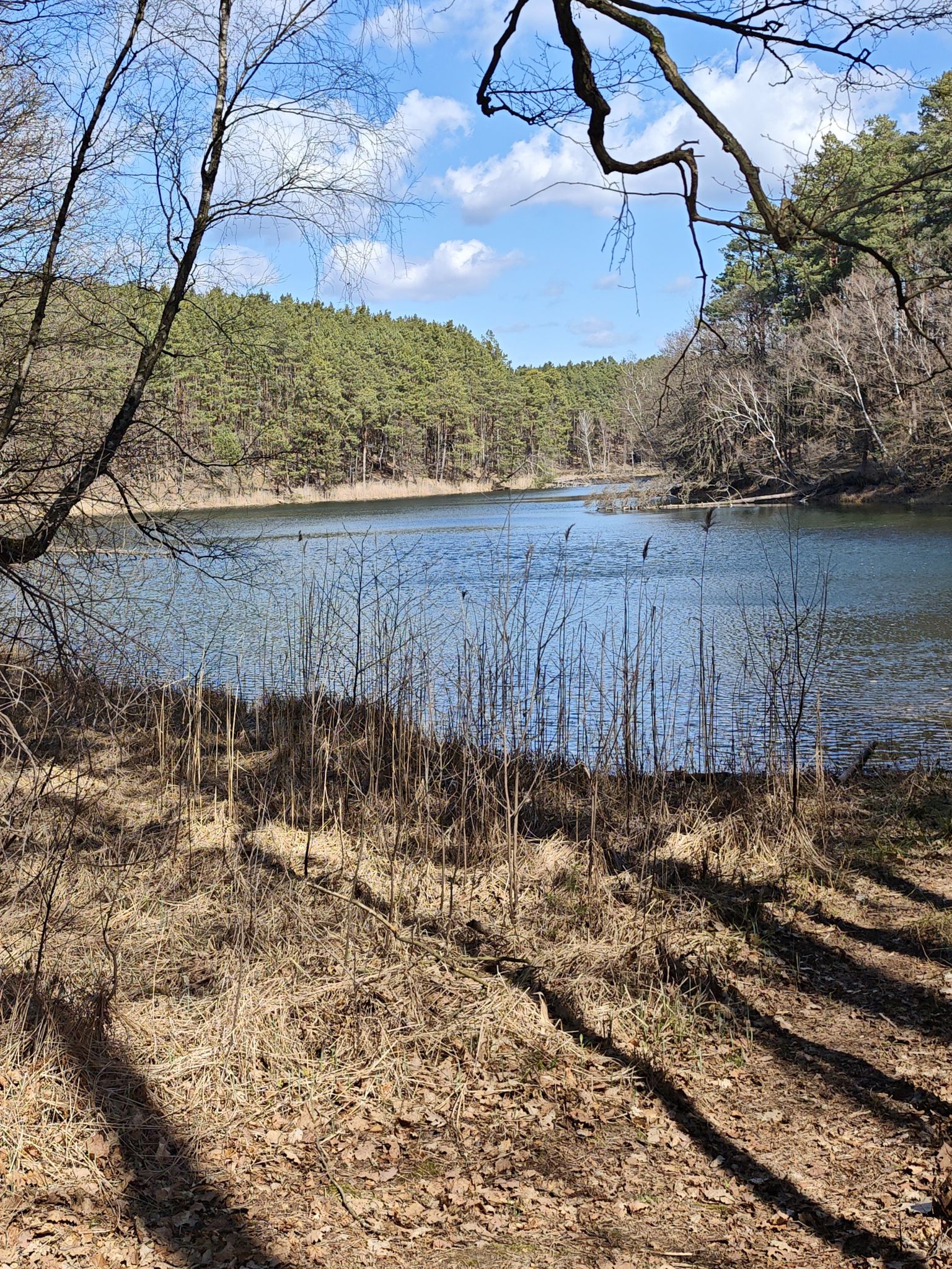Schervenzsee
