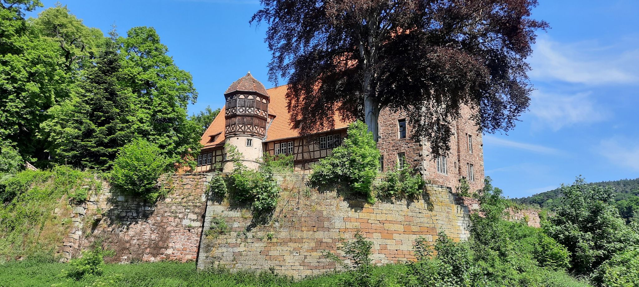 Seckendorff-Schloss, Buchenau