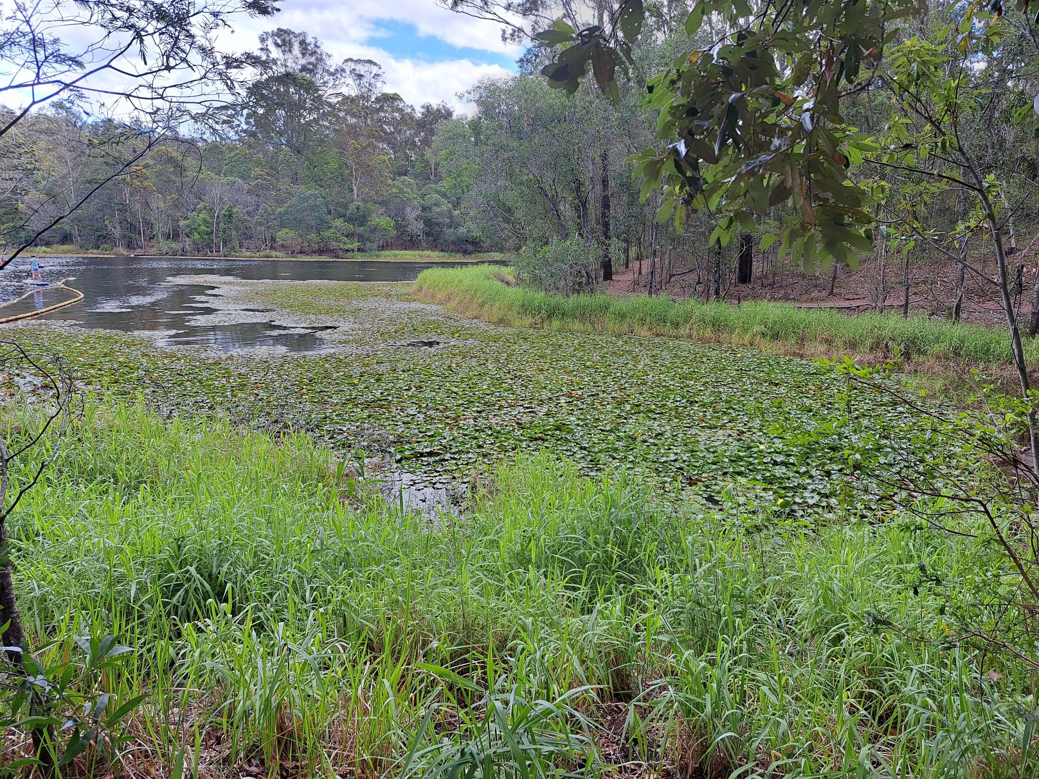 Blick auf das Enoggera Reservoir