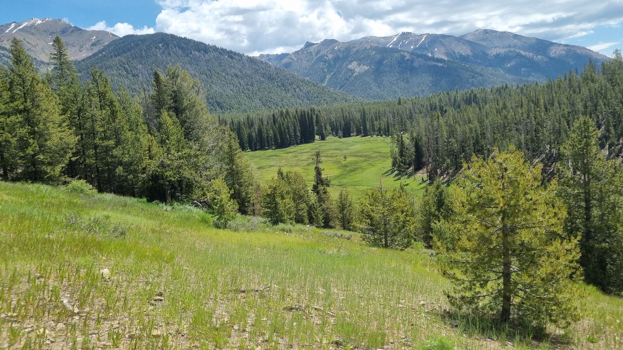 Galena meadow