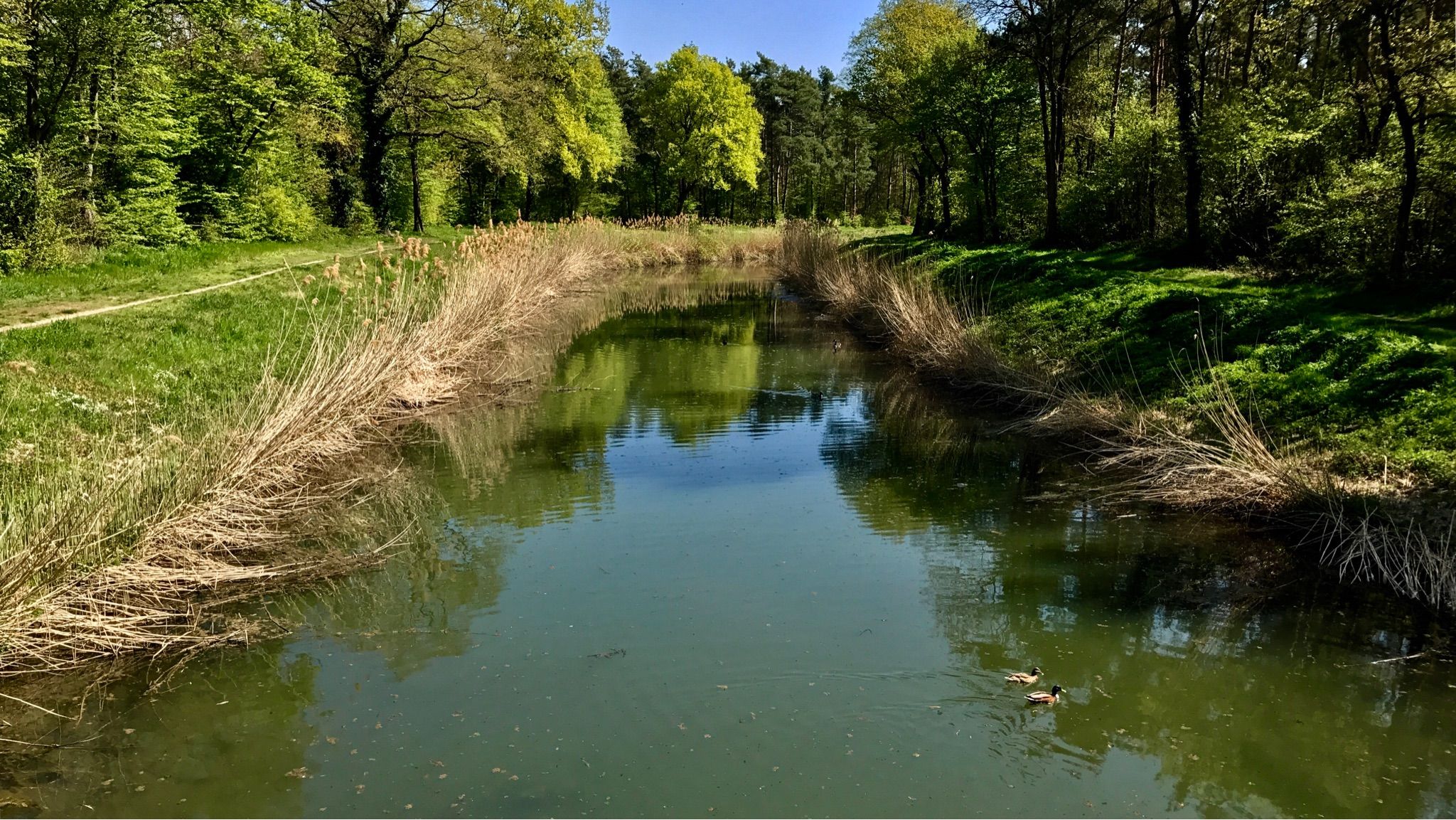 Saalbachkanal im Kammerforst