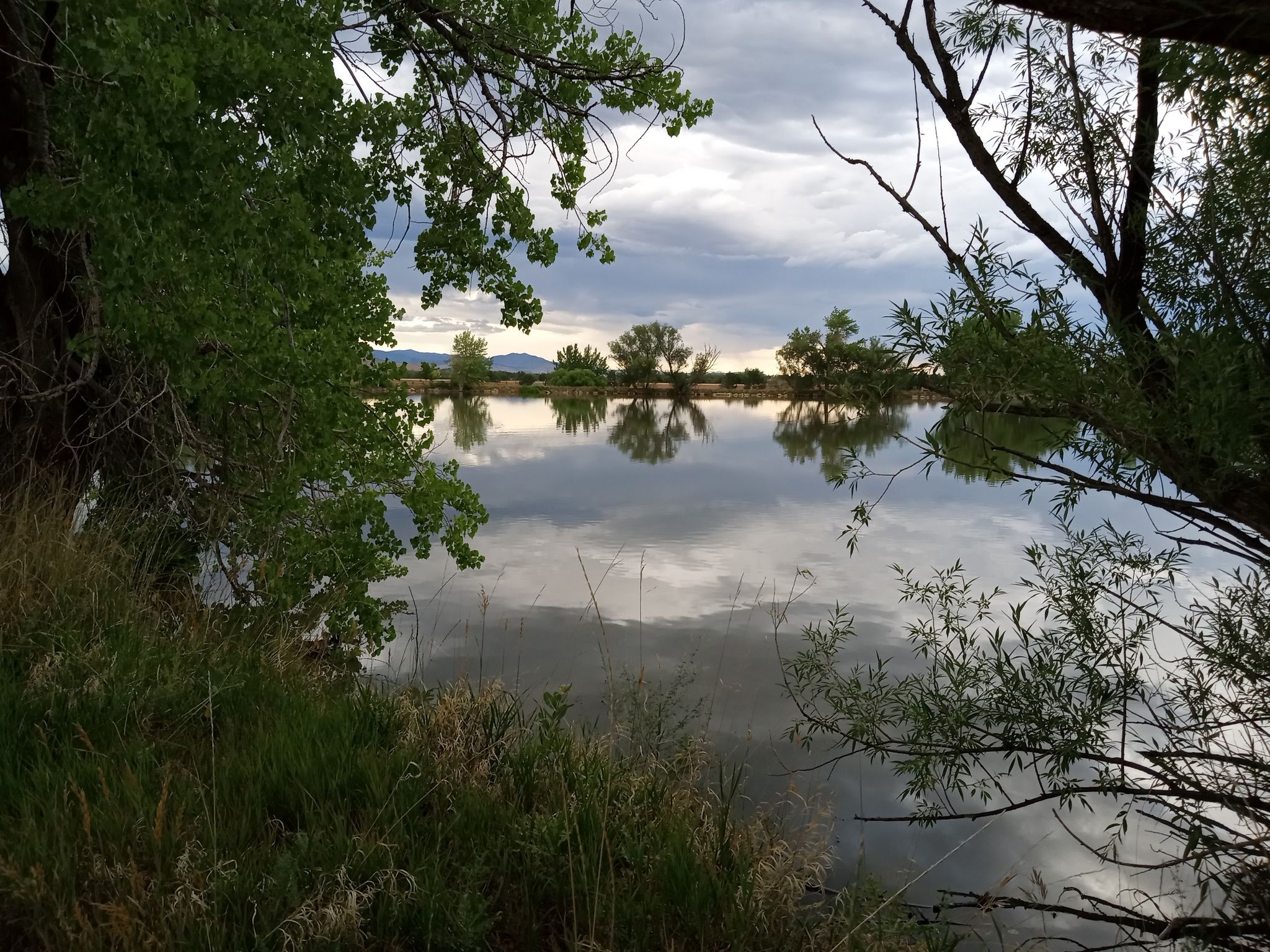 Calm water reflects trees and cloudy sky, framed by lush foliage. - Twin Lakes Loop Trail