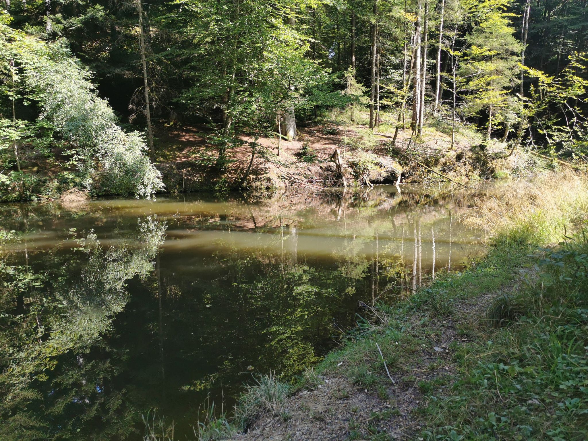 Etelweiher