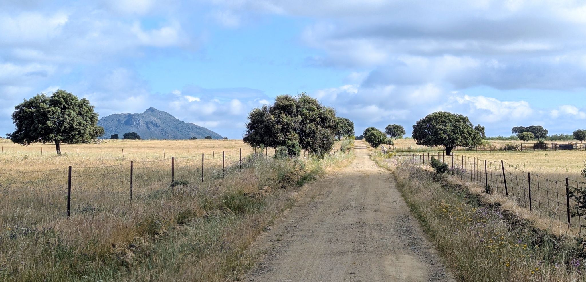 Risco de San Gregorio (Sierra de Santa Cruz) desde el Camino de Miajadas.