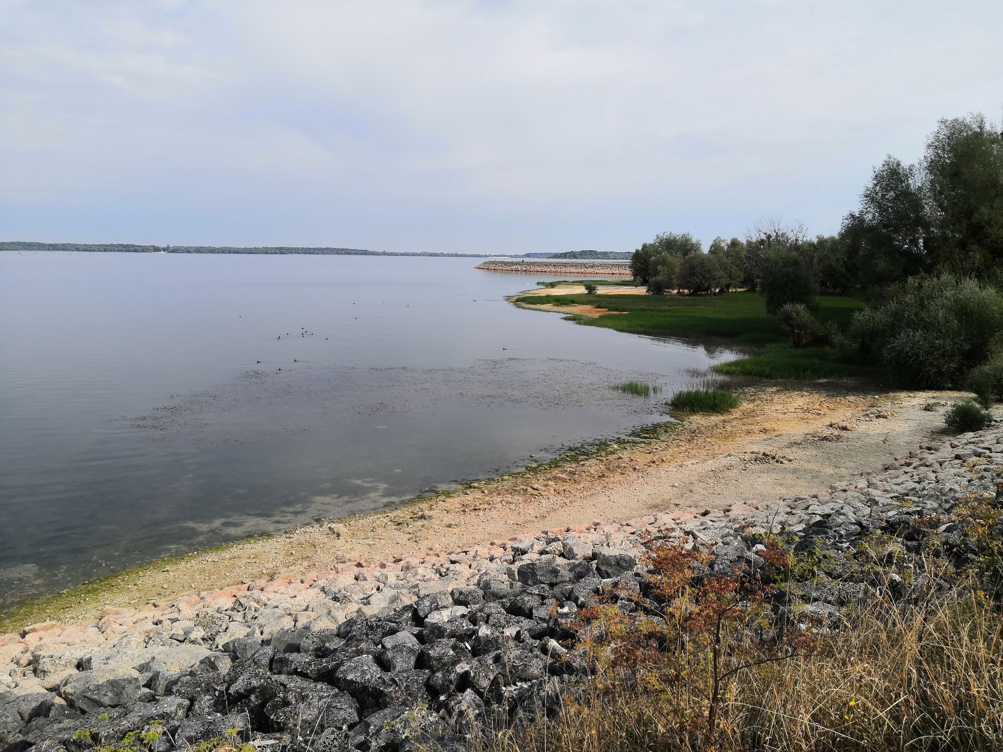 Niedrigwasser