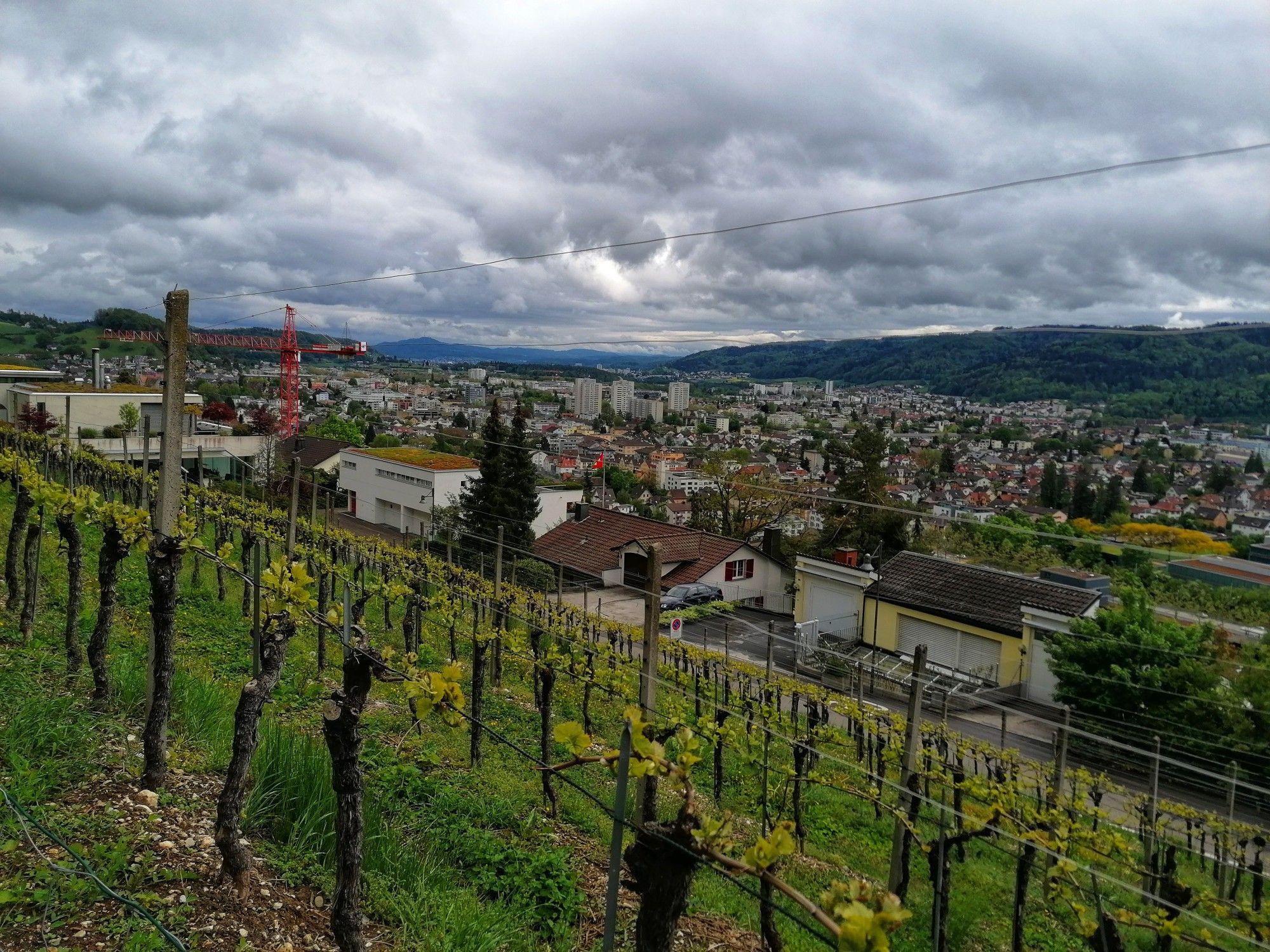 Aussicht beim Schartenfels