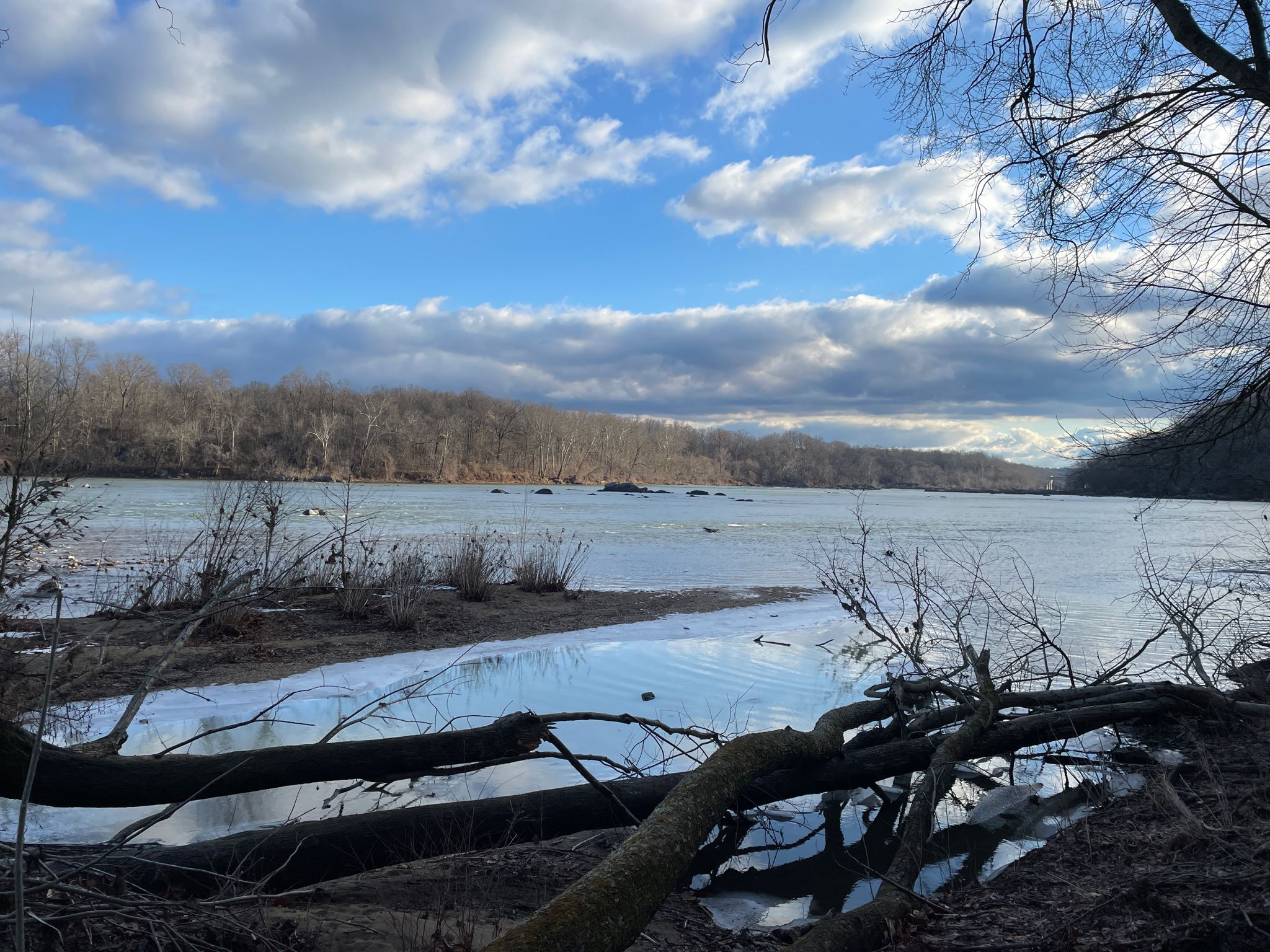 Wide river under a blue sky with white clouds, bare trees foreground. - Woodland and River Trail Loop