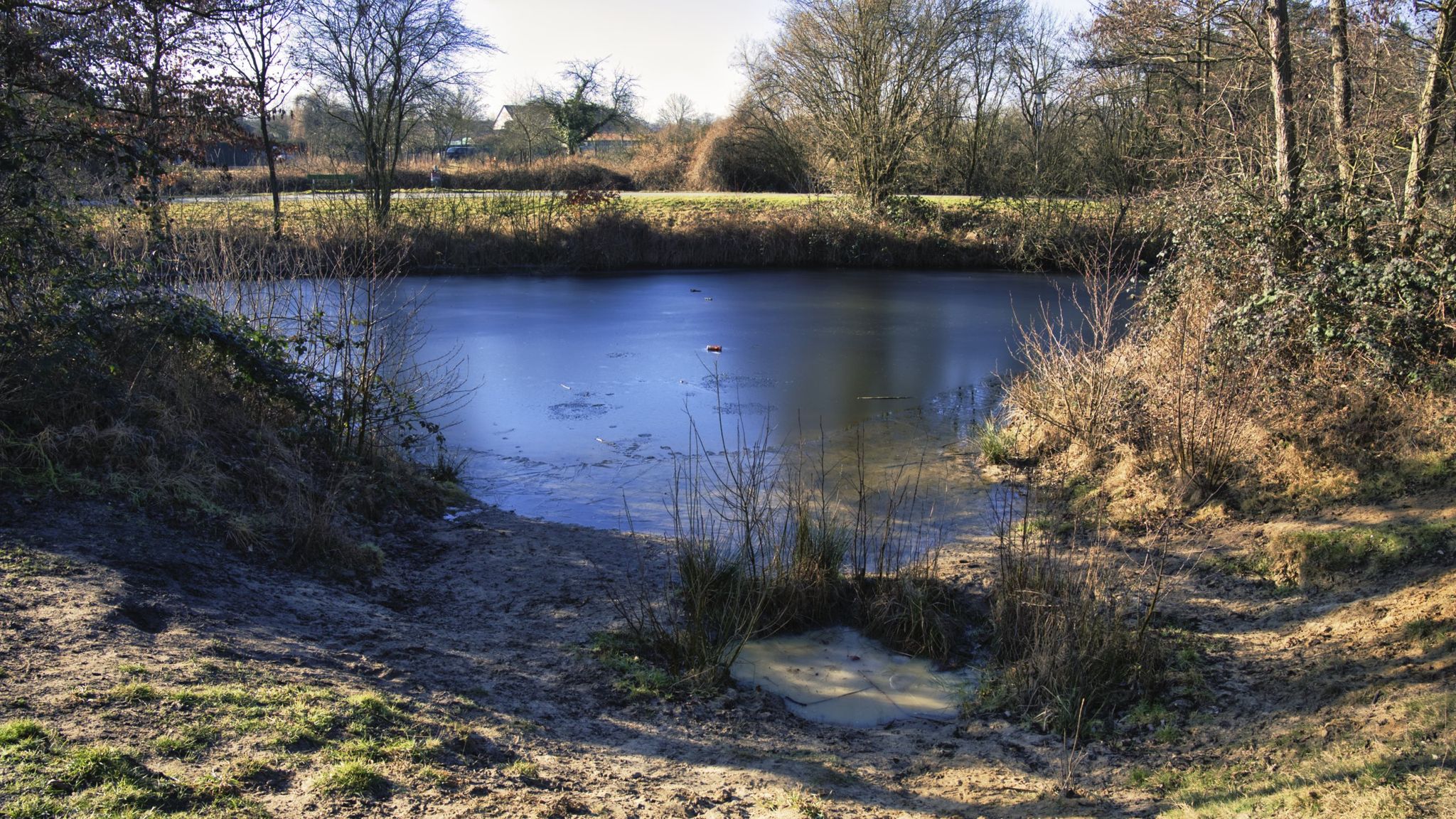 Flachwasser-Buchten am Horlachegraben