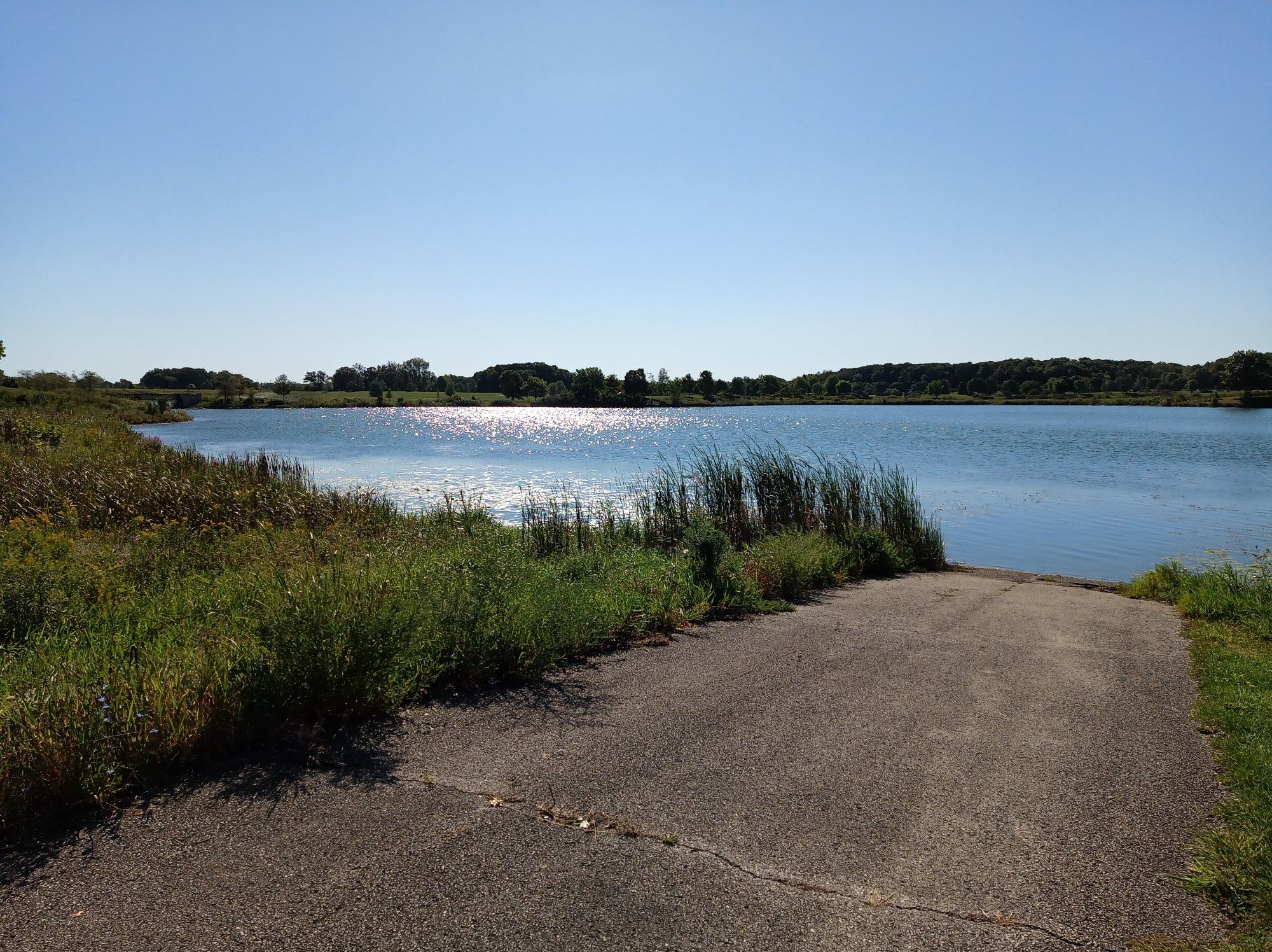 Boat ramp leading into a sunny lake with reeds and distant trees. - Independence Grove Lakeside Trail