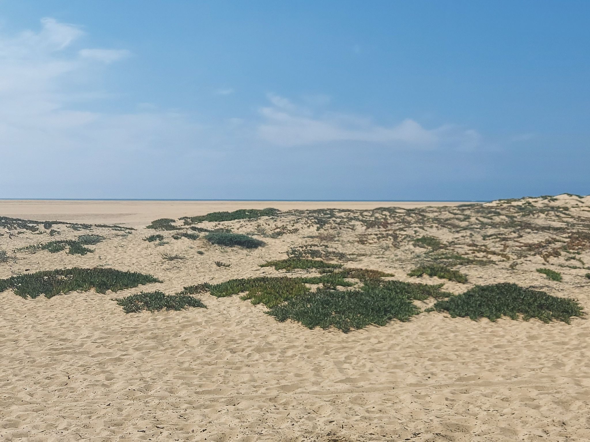 Sandy dunes with sparse green vegetation under a clear blue sky. - Balboa Peninsula from Newport Beach