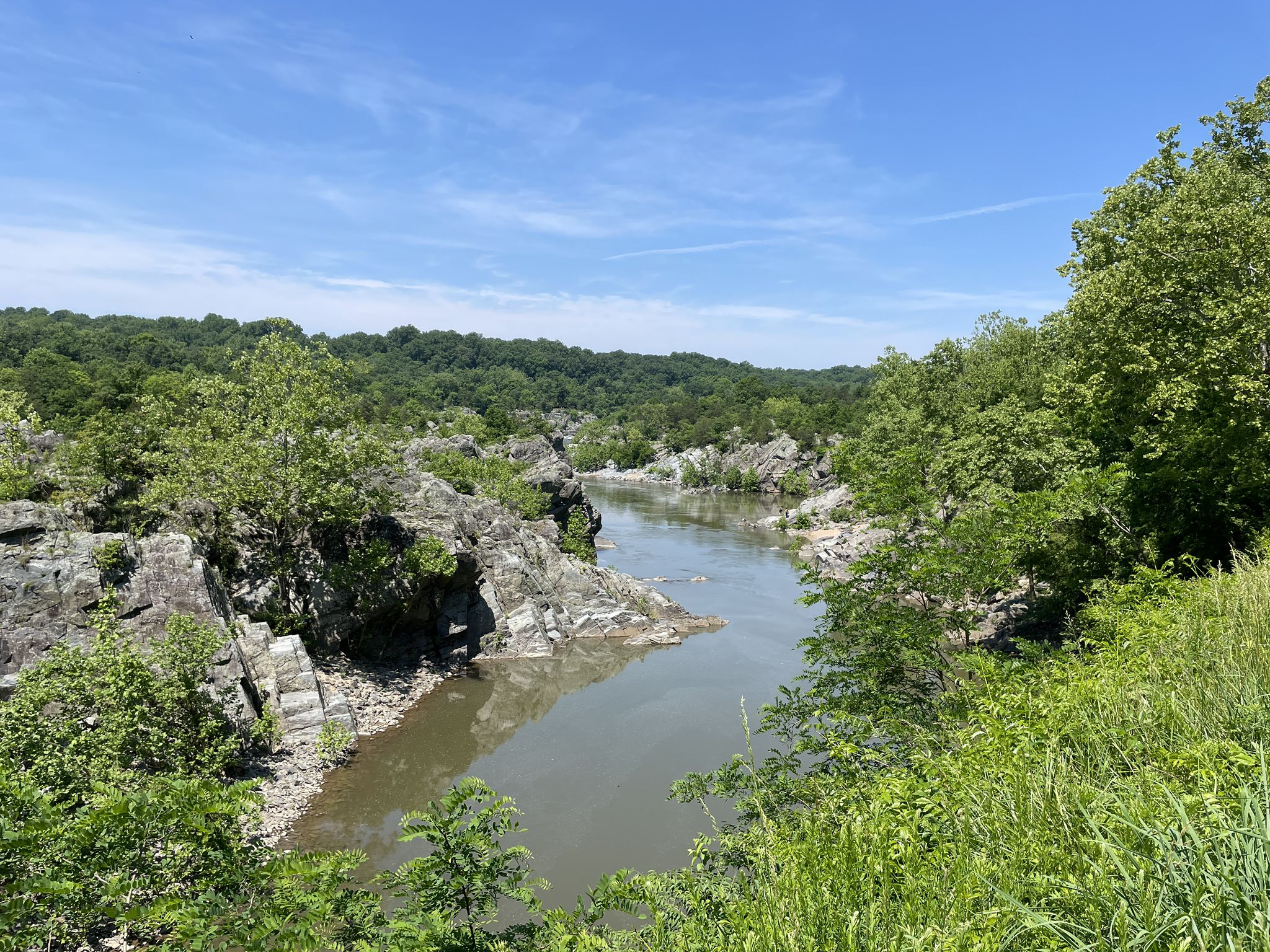 A river flows through a rocky gorge with lush green trees under a bright sky. - Great Falls Overlook via Billy Goat Trail Section A