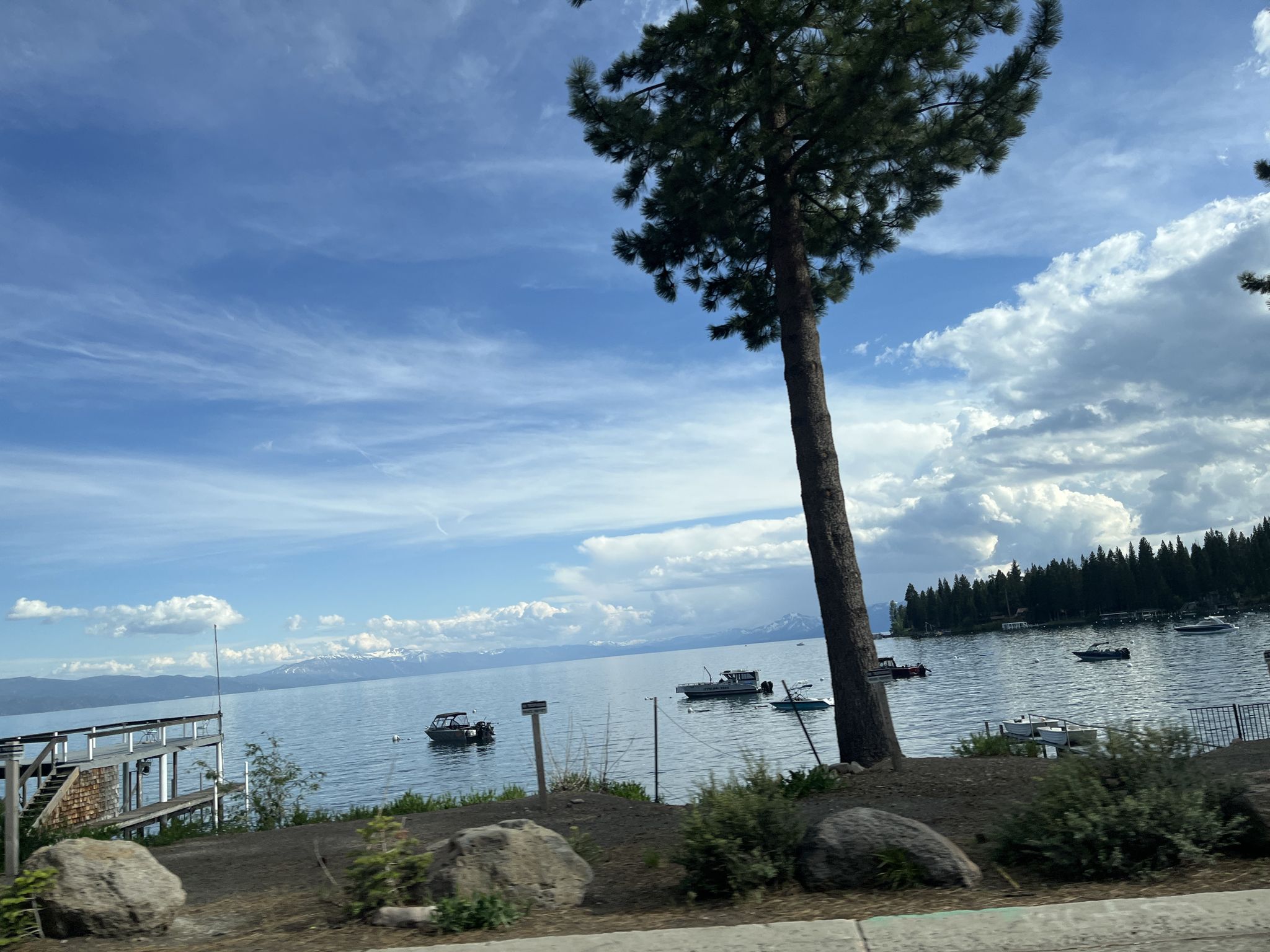 Scenic lake view with boats, pine trees, and a bright sky. - North Tahoe Beach – Kings Beach-Crystal Bay loop from Kings Beach