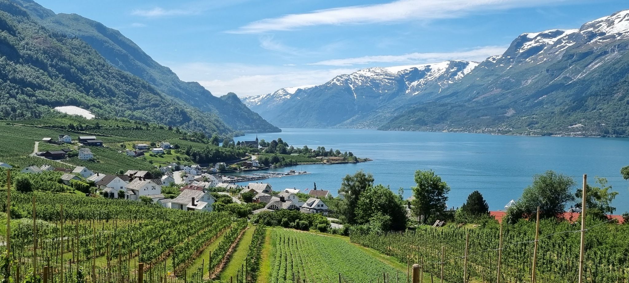 Hardangerfjord