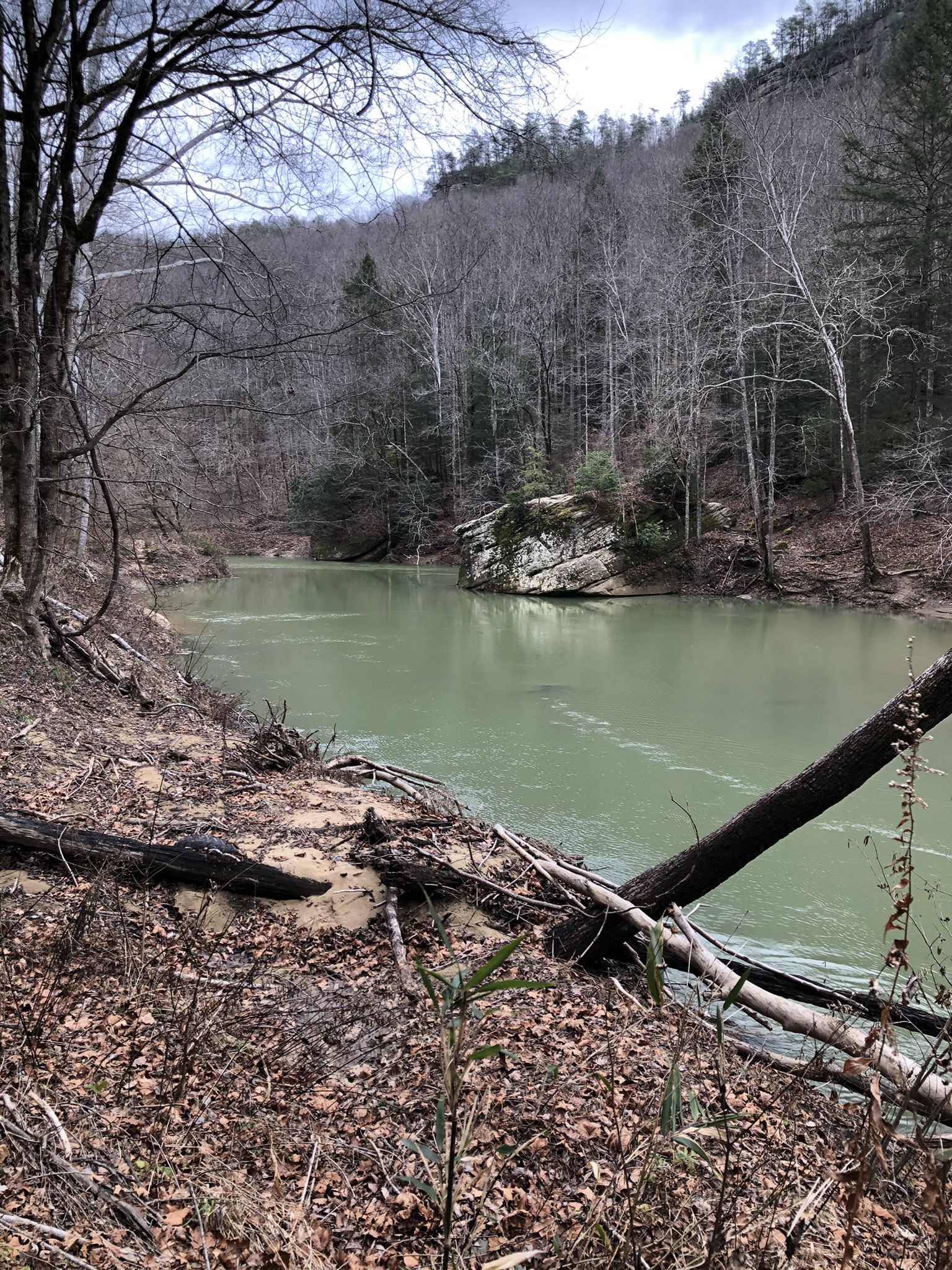 Muted light on a calm river surrounded by bare winter trees. - Cloudsplitter via Sheltowee Connector Trail