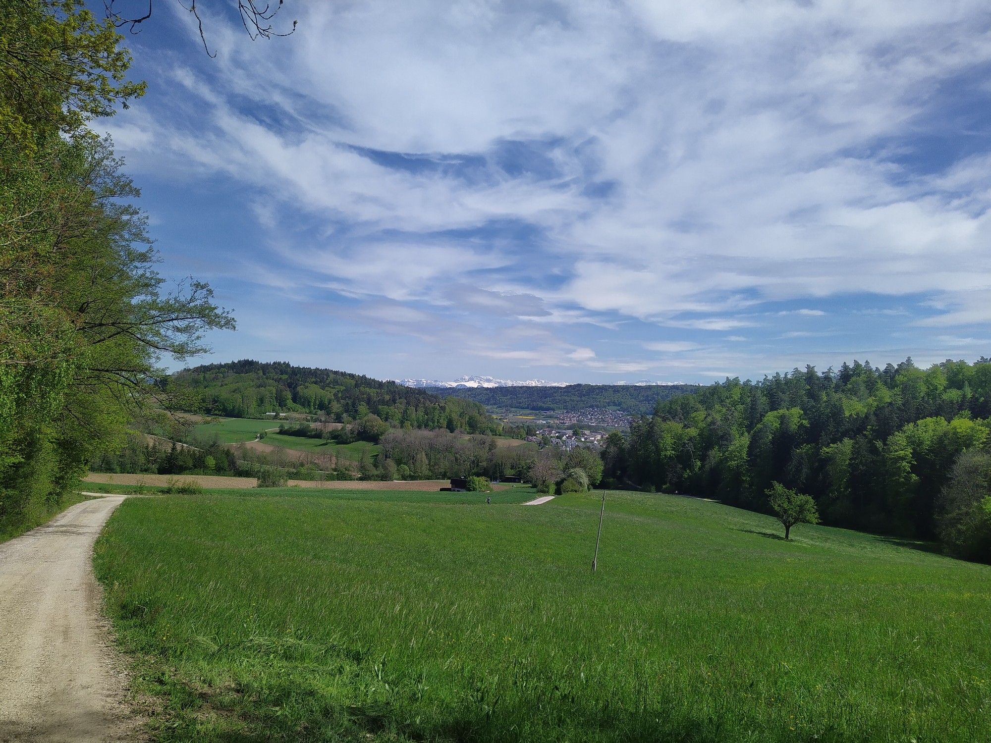 Bergstrasse ob Otelfingen