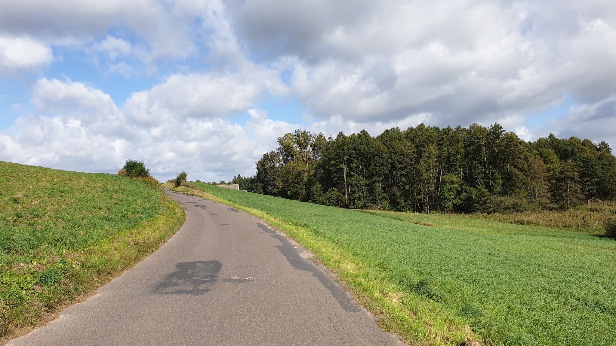 Hilly road
