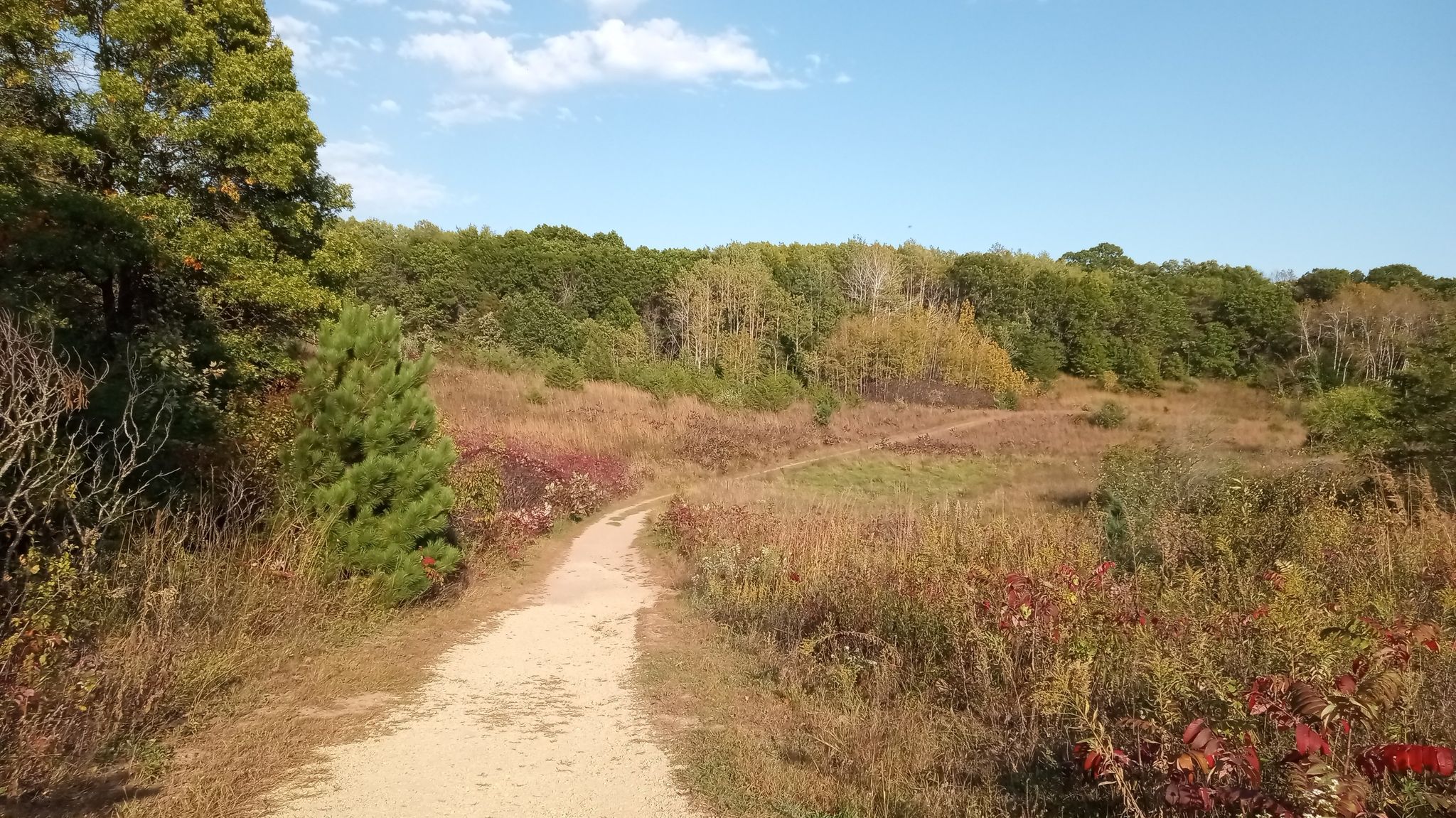dropping into the sumac