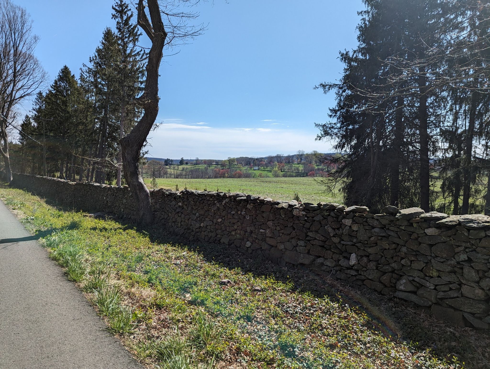 A stone wall borders a paved road next to a sunny green field and trees. - Middleburg, Virginia – Lovely Aldie loop from Ashburn
