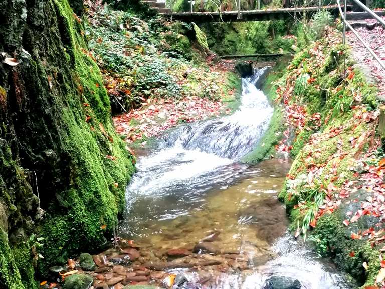 Karlsruher Grat🏞️🤩🍁🍂🤗 | Wanderung | Komoot