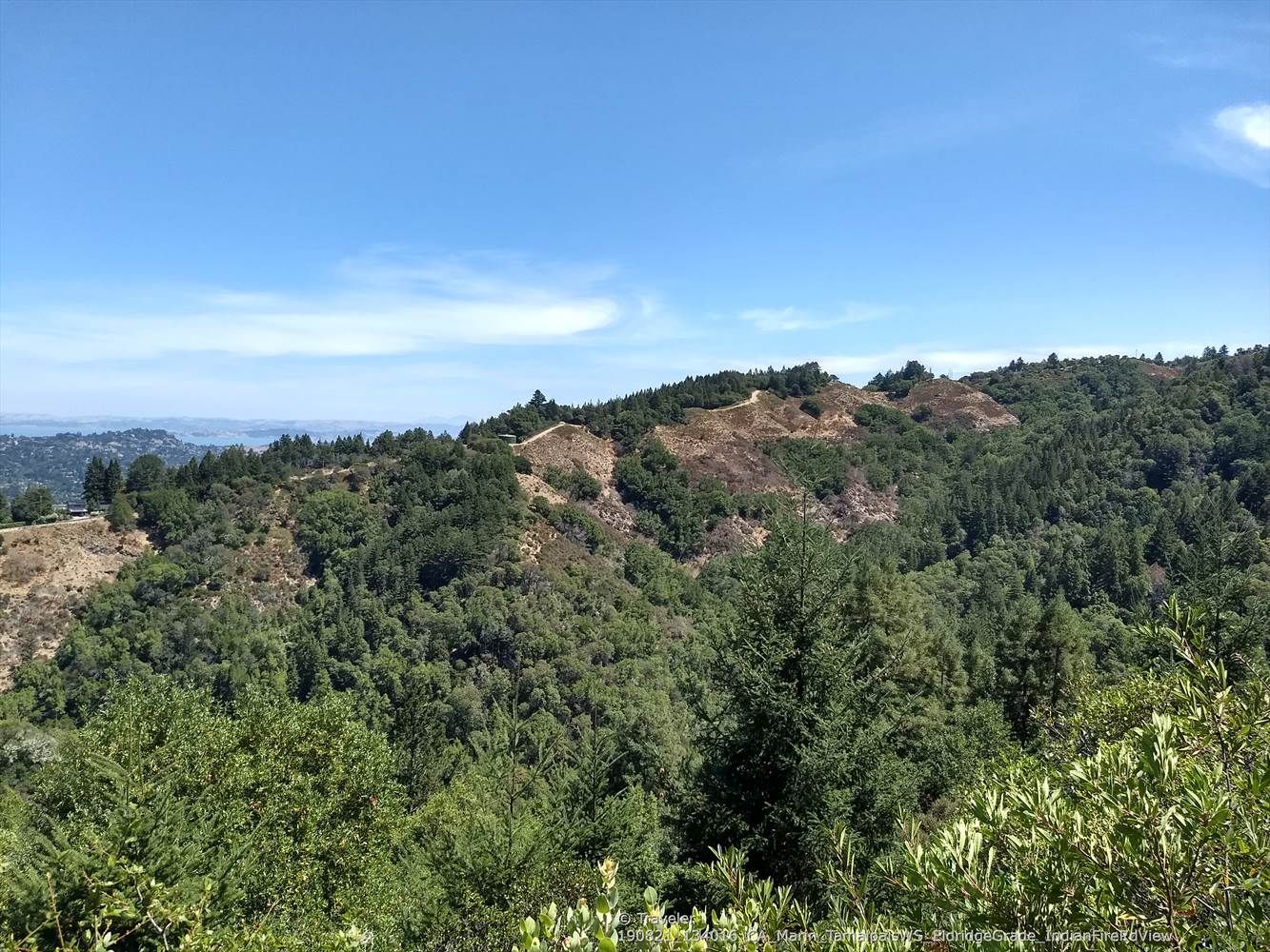 Sunny view of forested hills with a clear blue sky. - Phoenix Lake – Fish Gulch trail junction loop from Mill Valley